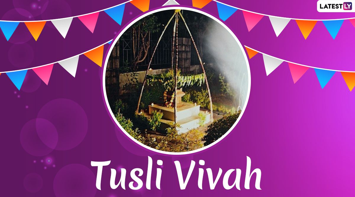 Tulsi Vivah 2019 Image & Wallpaper for Free Download Online: Send Happy Tulsi Vivah Wishes With Beautiful Photo And GIFs