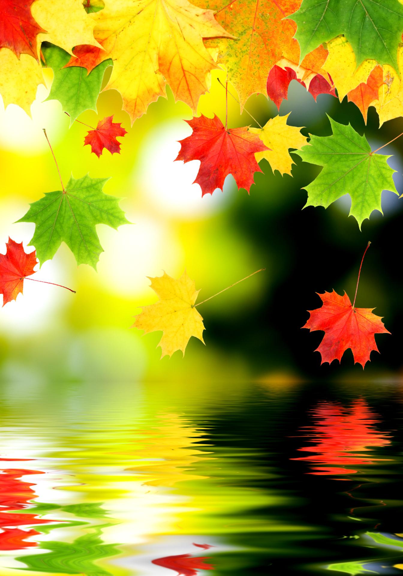 Falling Leaves Wallpaper for Android