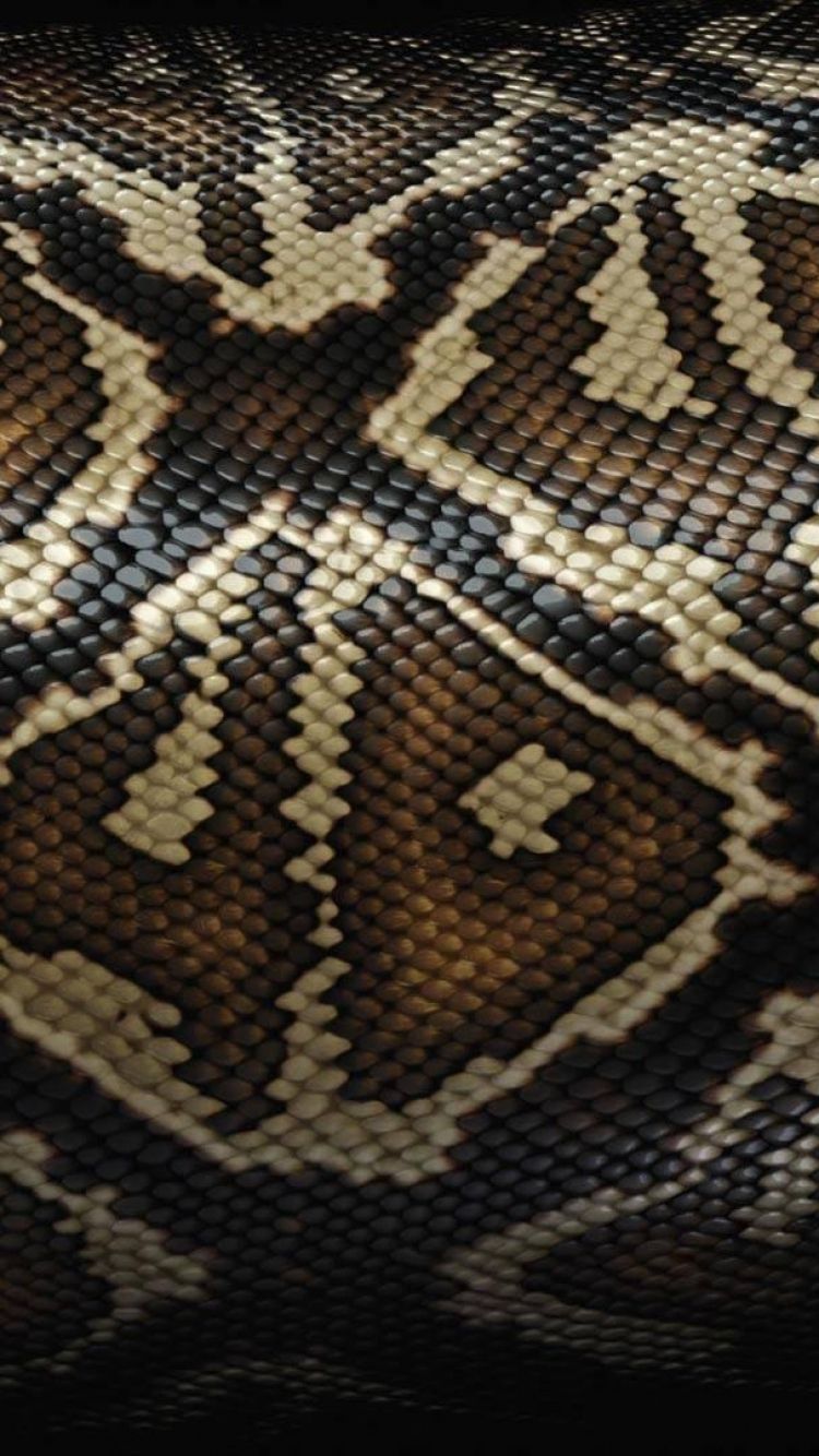 IPhone 6 Snake Wallpaper HD, Desktop Background 750x1334. Snake