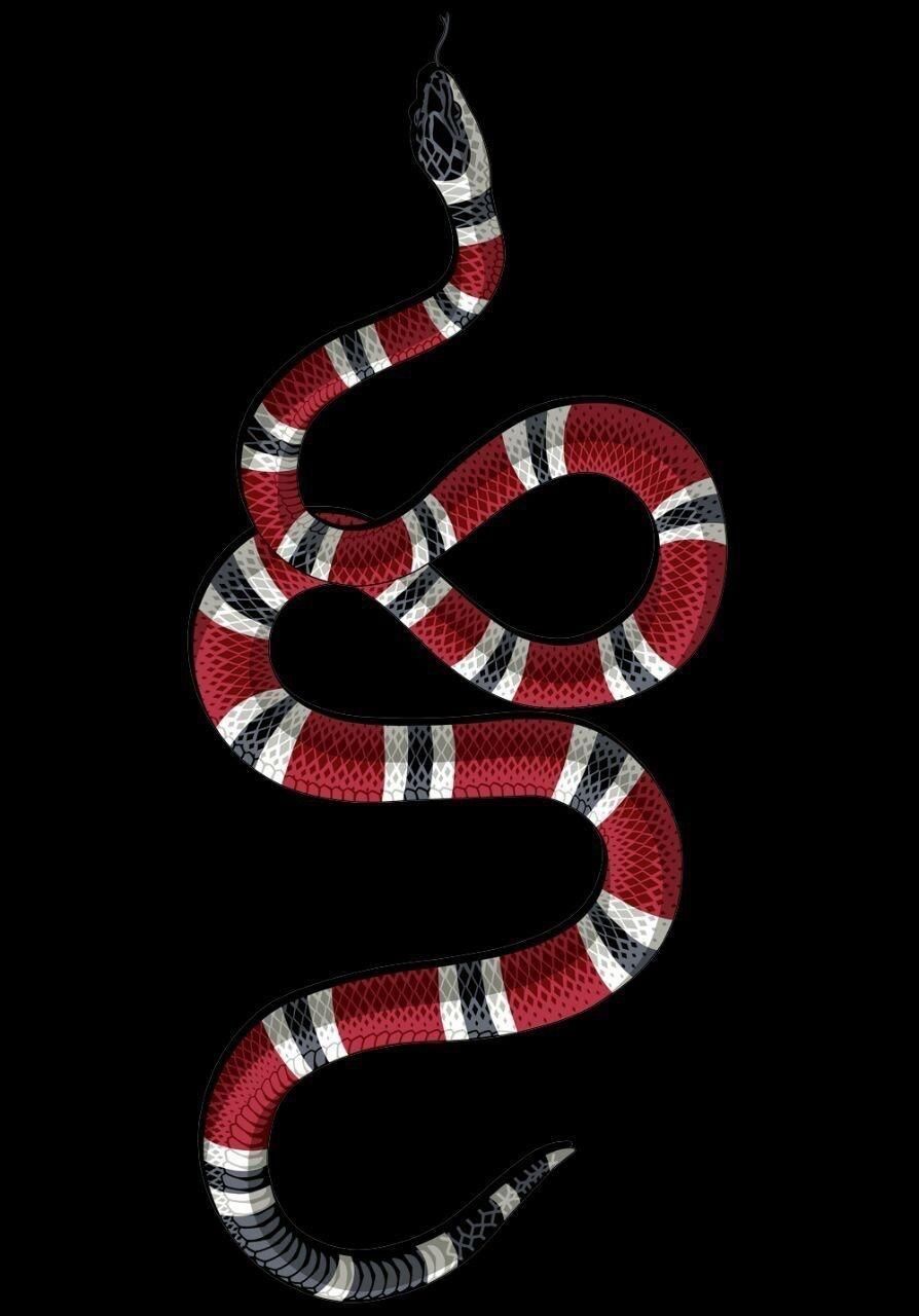 Gucci Snake Wallpaper iPhone Xr