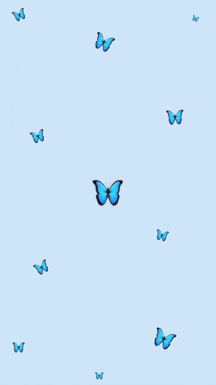 estética #butterfly #papel #tumblr #babyblue #blue #minimalista en 2020. Blue butterfly wallpaper, Butterfly wallpaper iphone, Blue wallpaper iphone