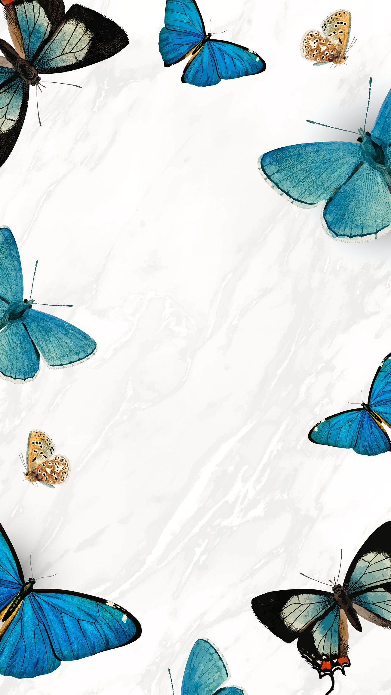 Blue Butterfly  Wonderful Aesthetic Wallpaper Download  MobCup