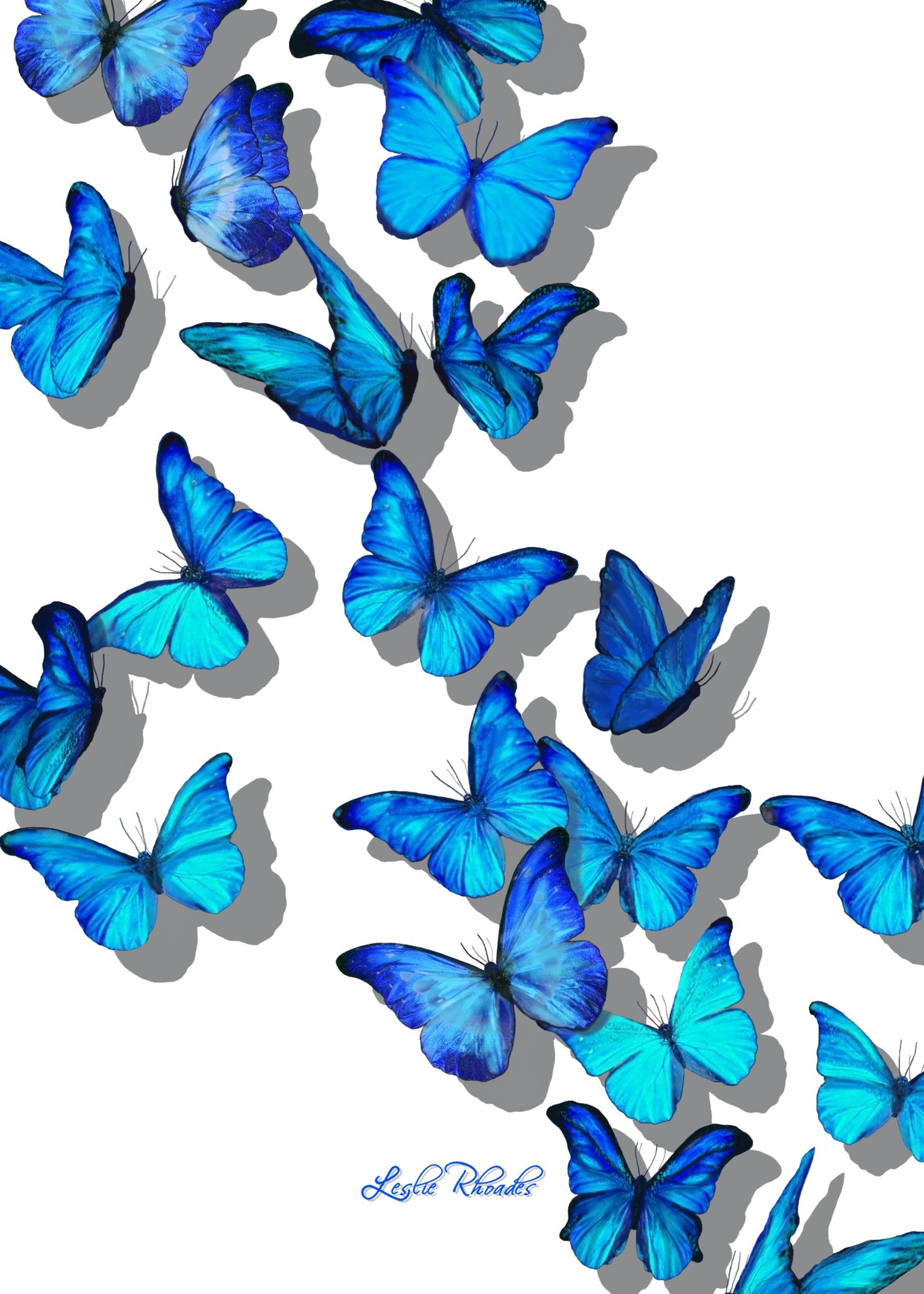 Blue Butterfly Drawing Art Beautiful iPhone Wallpapers Free Download