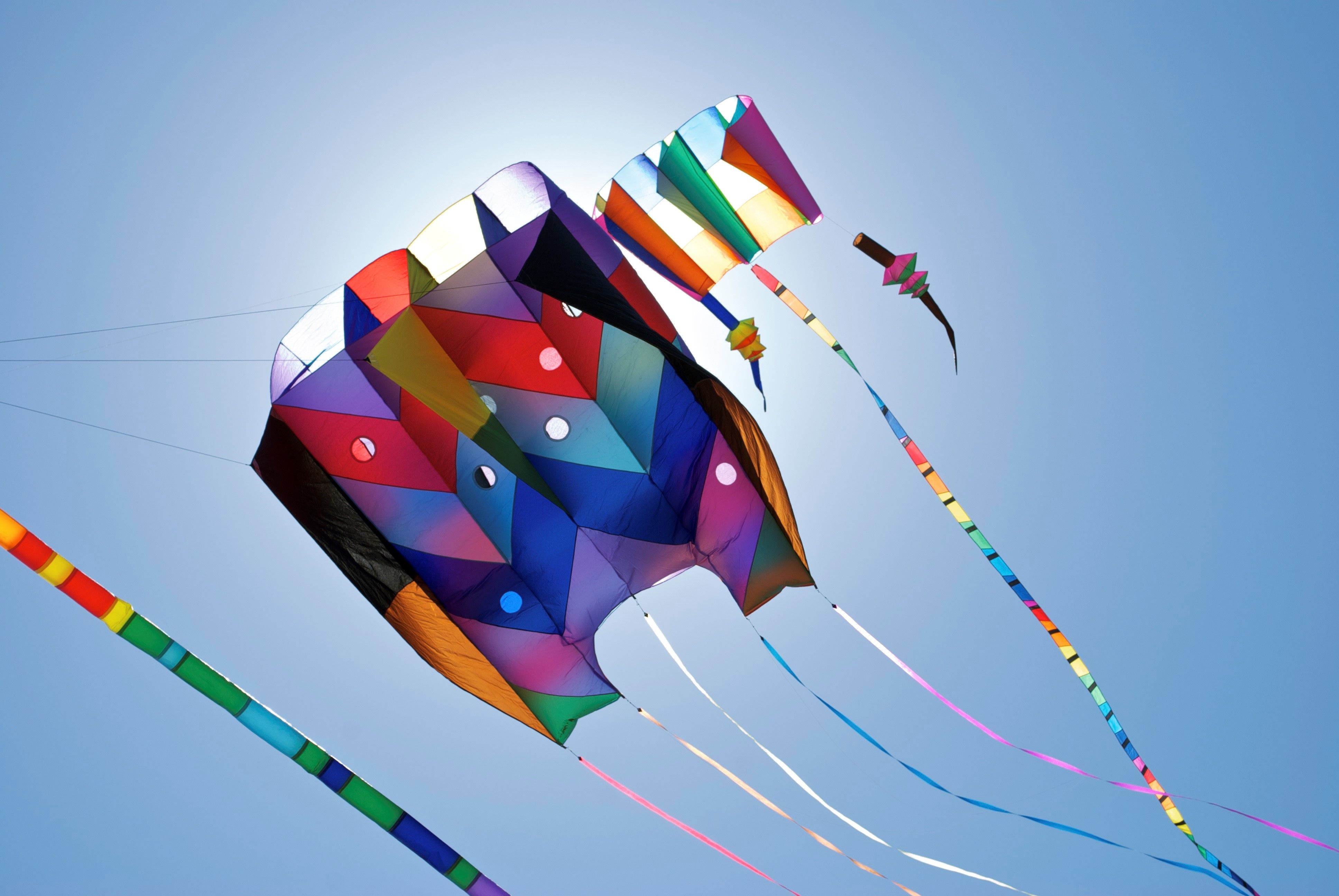 Different Style Kites on Makar Sankranti Indian Festival Wallpaper