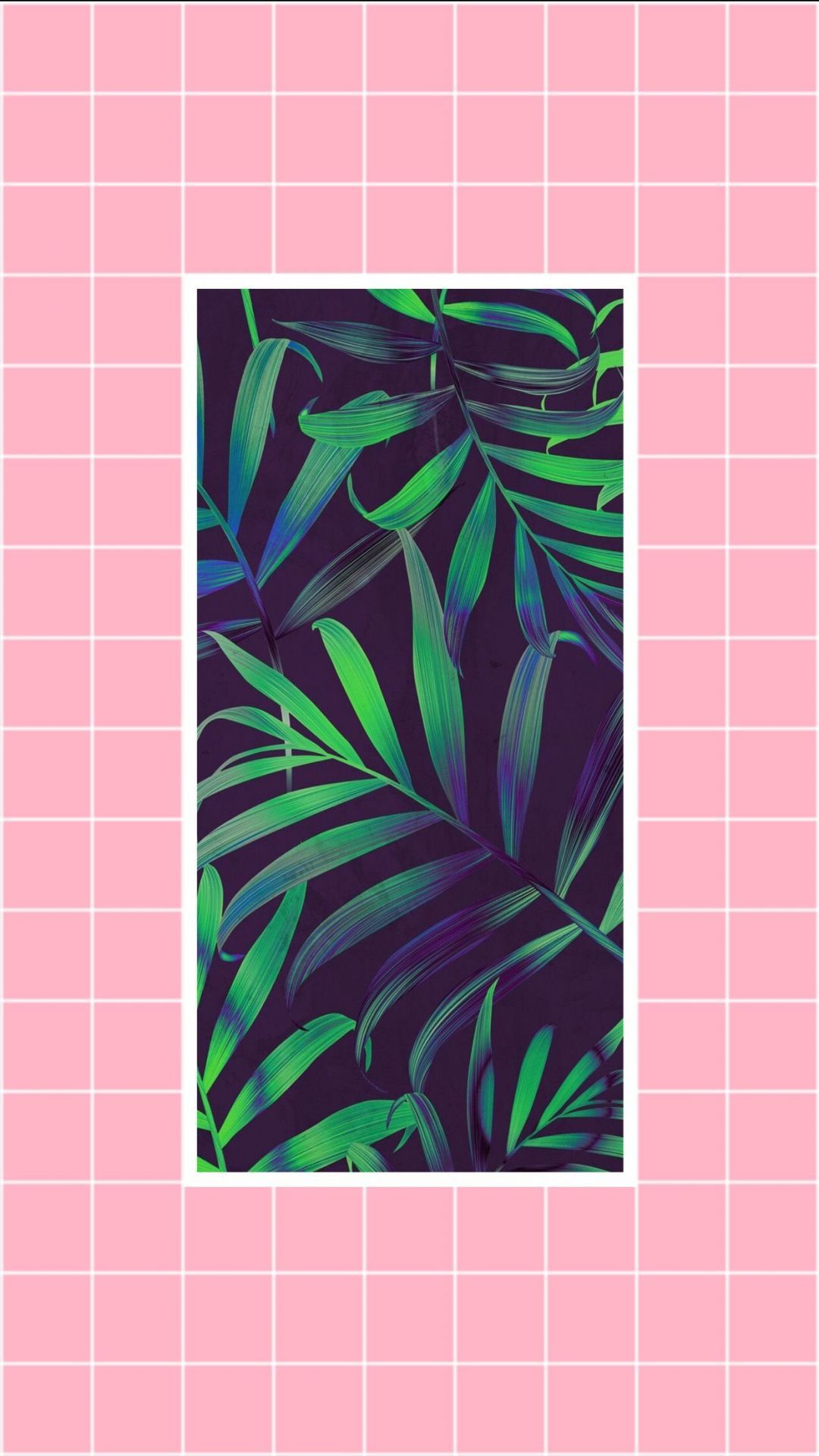 Plant Aesthetic, iPhone, Desktop HD Background / Wallpaper (1080p, 4k) (1242x2208) (2020)