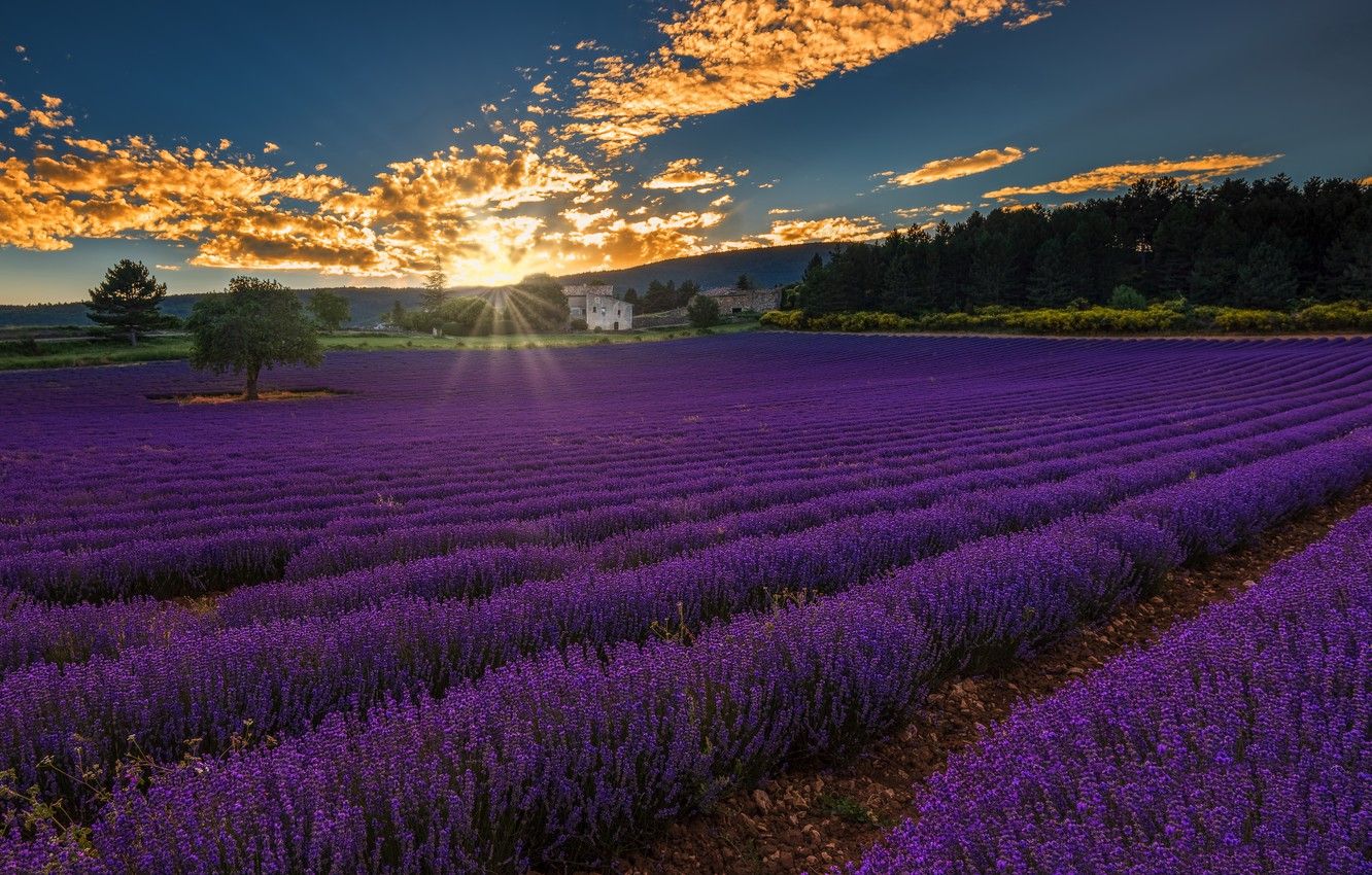 Wallpapers Landscape, Sunset, France, Provence