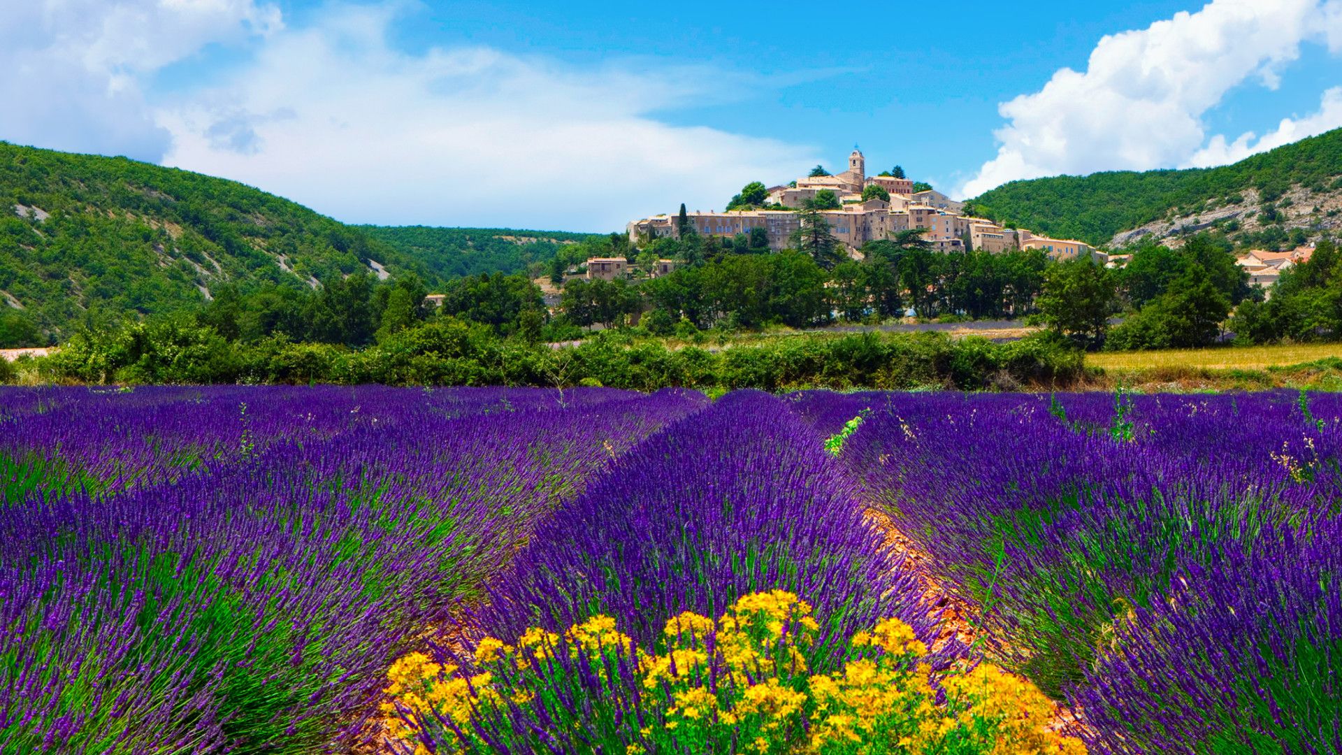 1920x1080, Lavender Field In Provence France Wallpapers