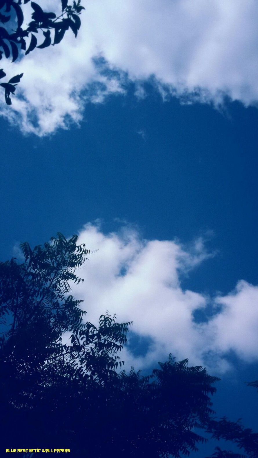 Free download Cloud cloud clouds sky blue blue sky white cloud blue  1134x2016 for your Desktop Mobile  Tablet  Explore 25 Blue Sky and Clouds  Wallpapers  Blue Sky Wallpaper Sky