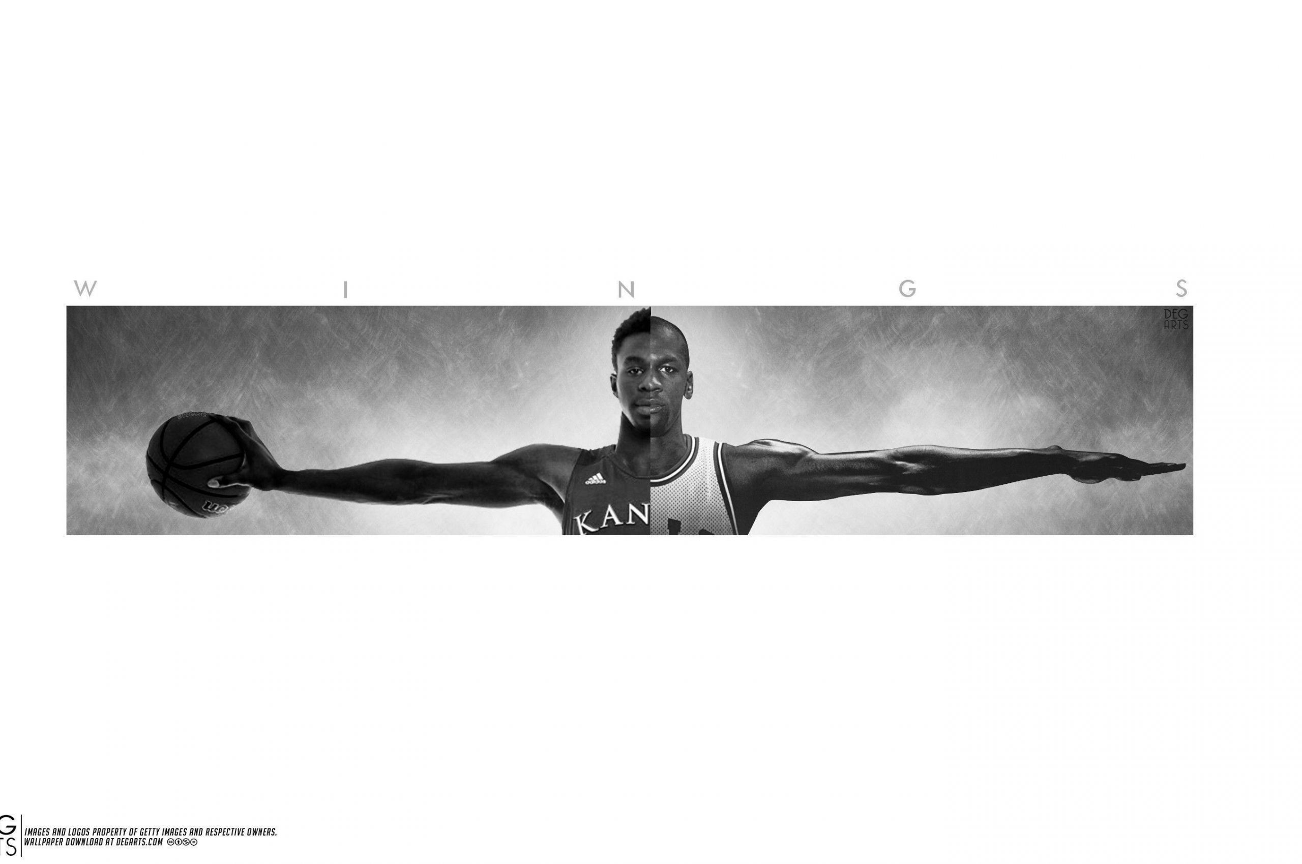 michael jordan wingspan