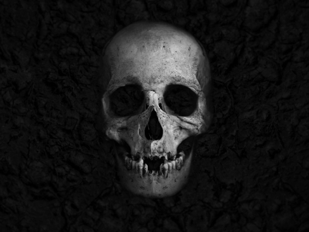 Wallpaper Skull, HD, 5K, Others,. Wallpaper for iPhone