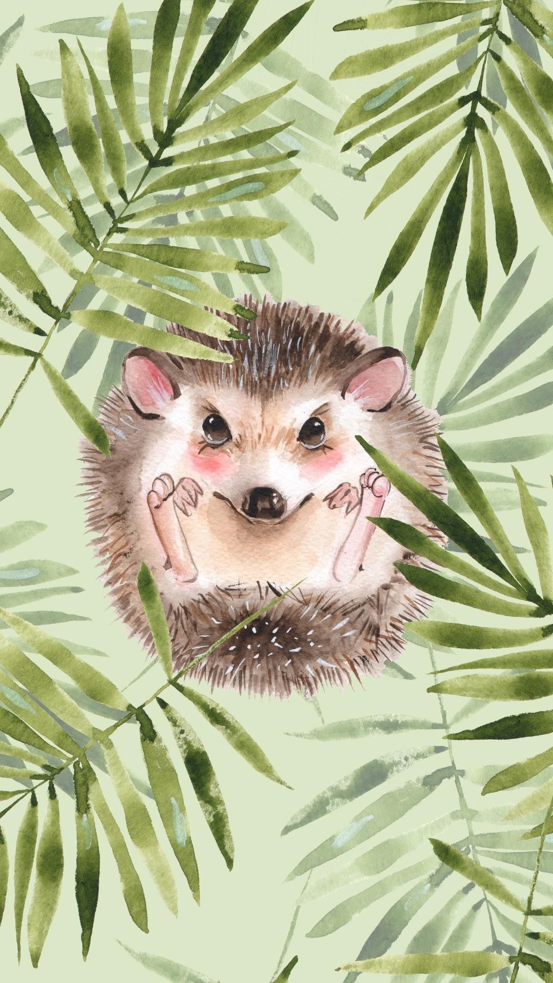 Hedgehog Wallpaper 46 Top Free Hedgehog Picture For Mobile Phone