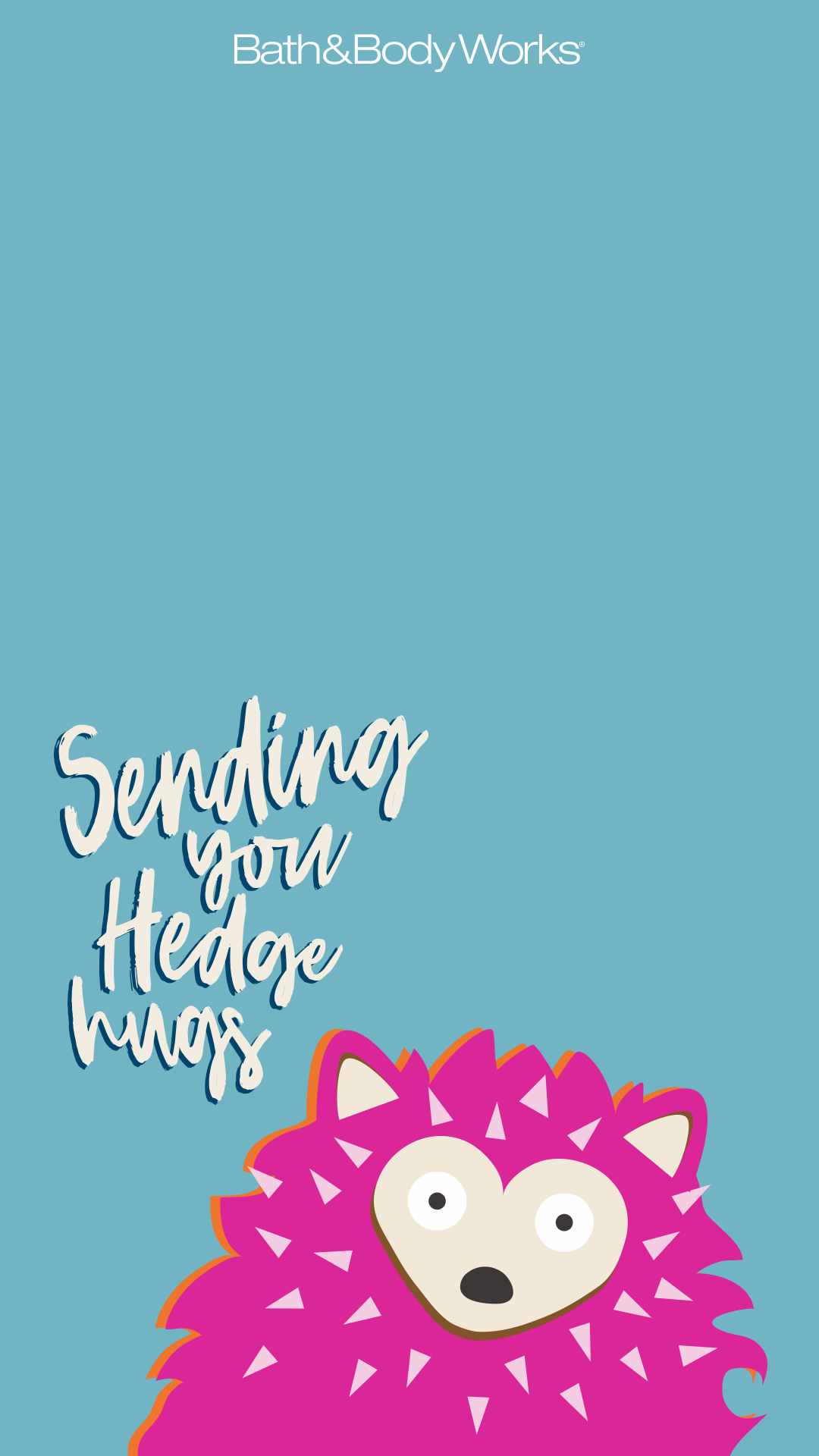 Hedgehog iPhone Wallpaper. Words wallpaper, Funny wallpaper