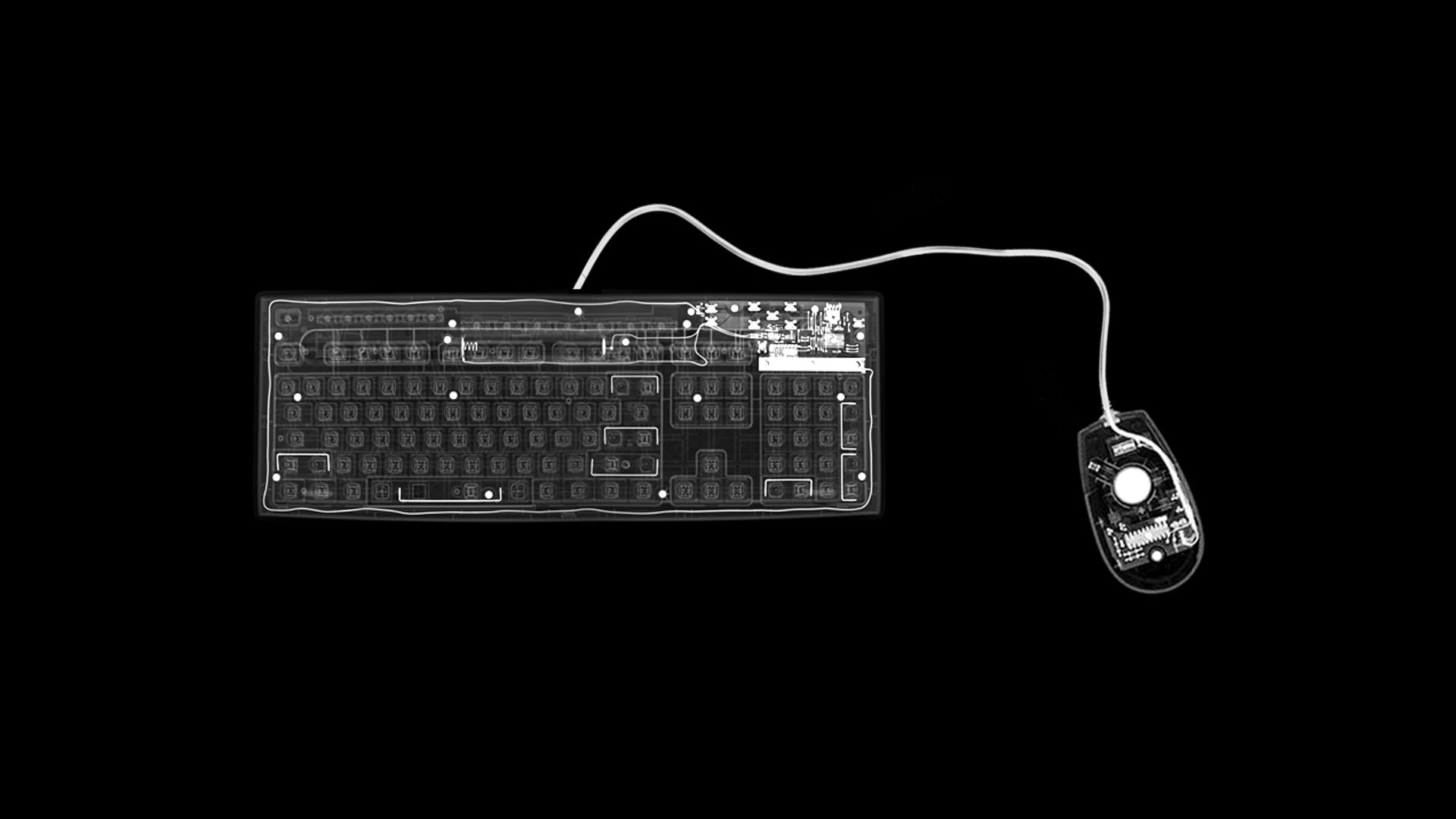 Keyboard And Mouse X Ray 1920x1080