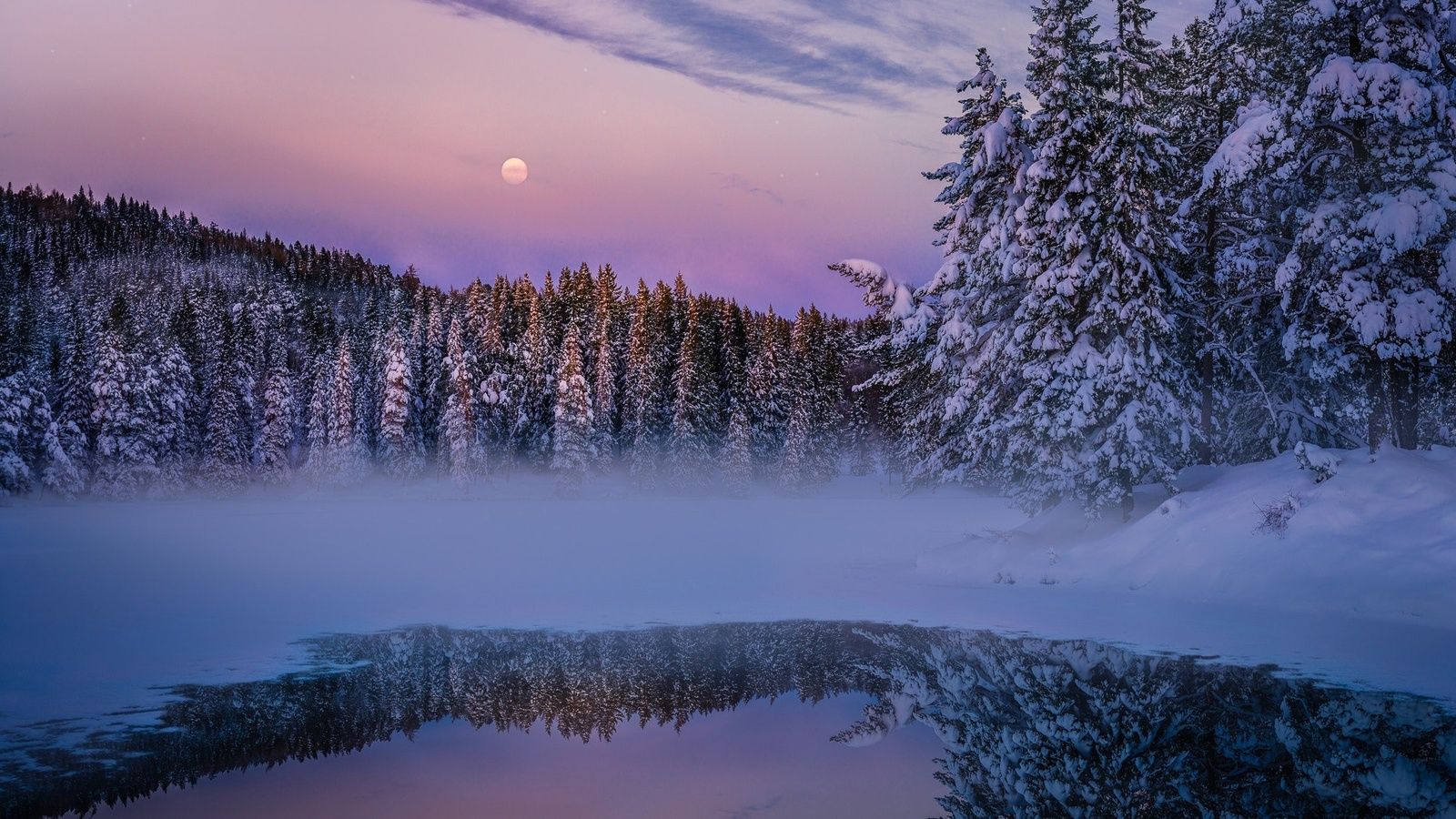 Earth Winter Fog Snow Trees Lake 1600x900 Resolution HD