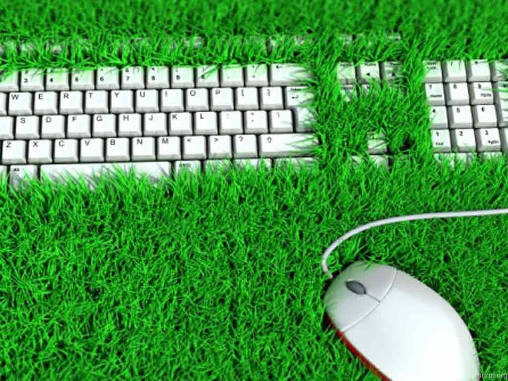 Wallpaper Technology Sustainable Gadget Keyboard And Mouse Art