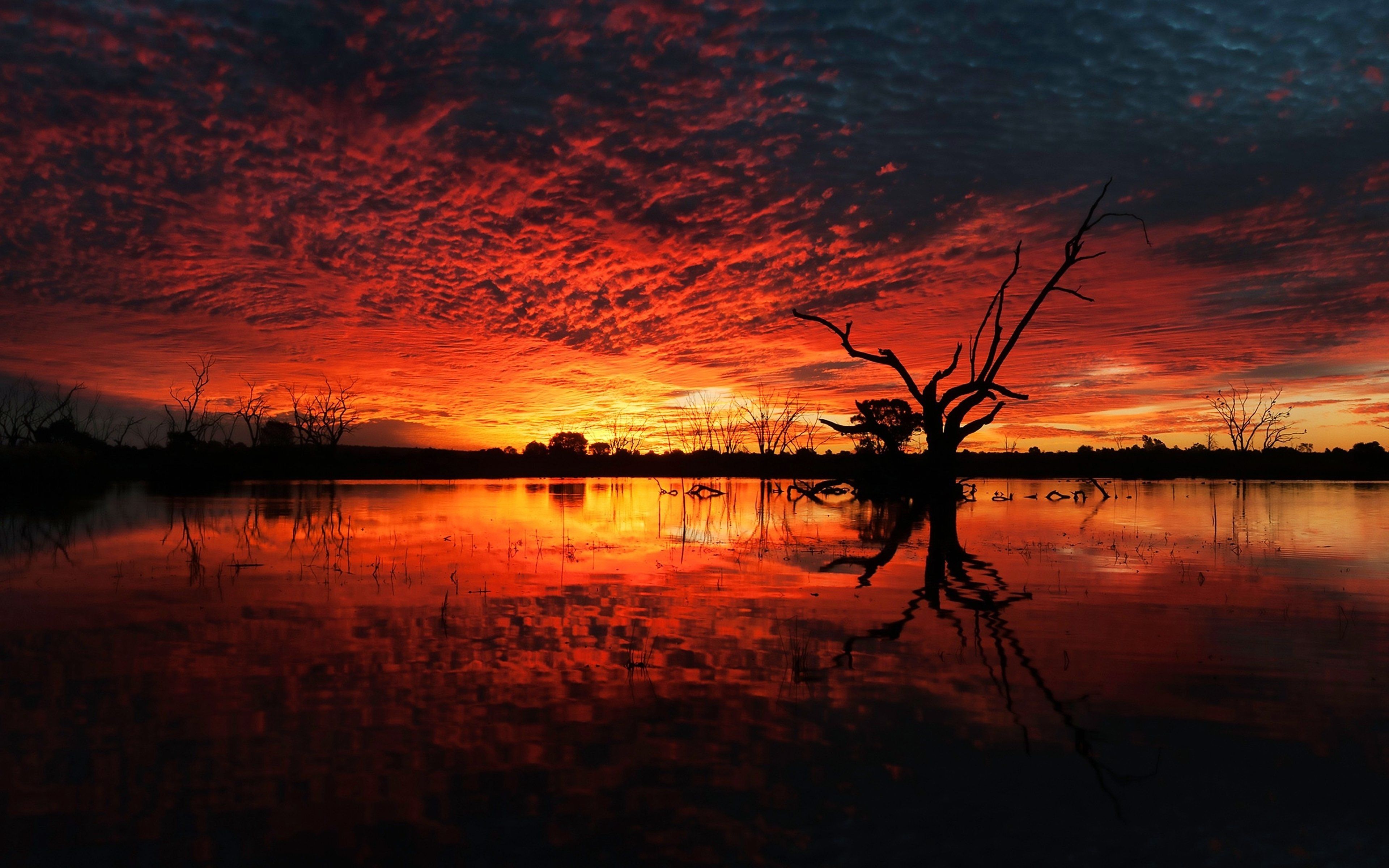 sunset, Lakes, Nature, Earth, Landscapes, Trees, Water, Clouds
