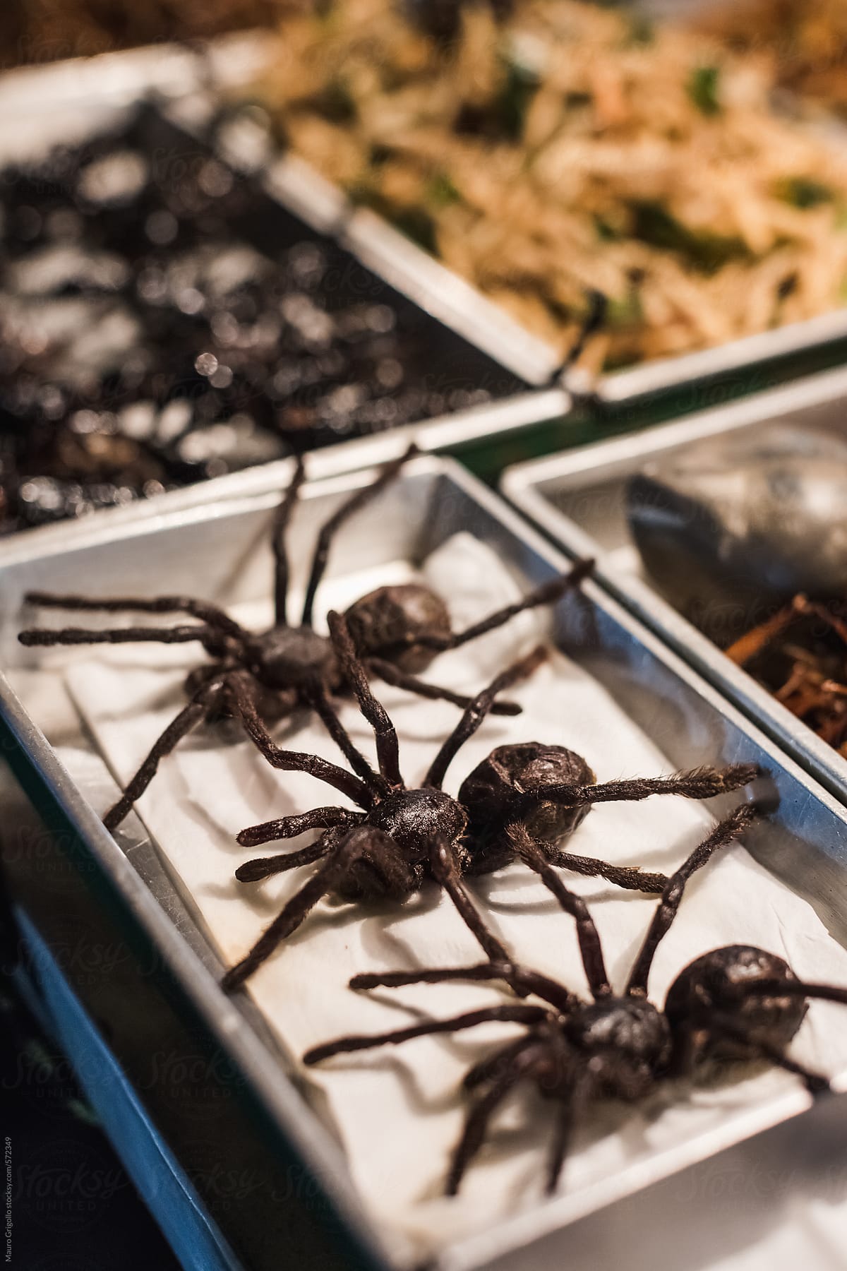 Fried spiders. Street food in Thailand.