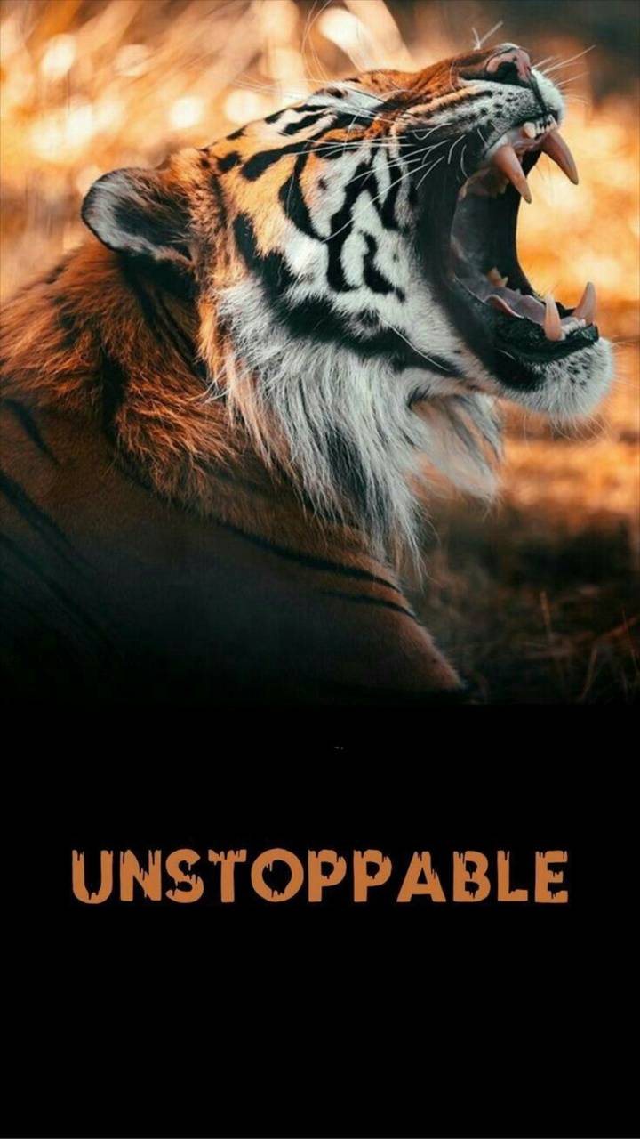 Unstoppable Wallpapers - Wallpaper Cave