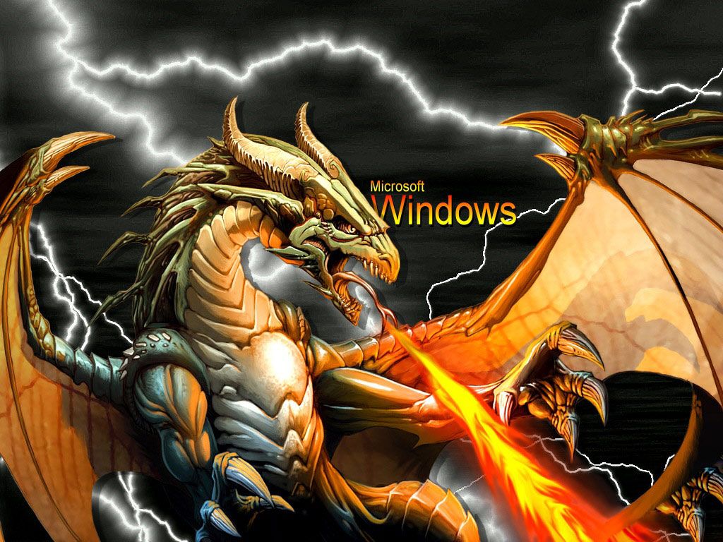 Free download Window xp gold wallpaper windows wallpaper