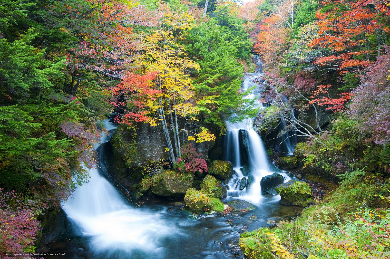 Download wallpaper Ryuzu Waterfall, Nikko, japan, autumn free