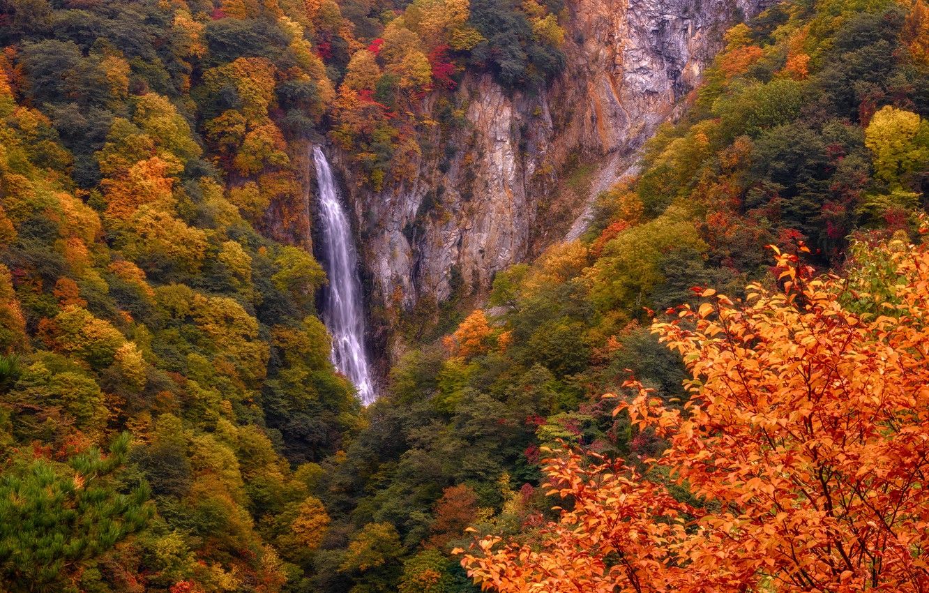 Wallpaper autumn, leaves, mountains, rocks, foliage, height
