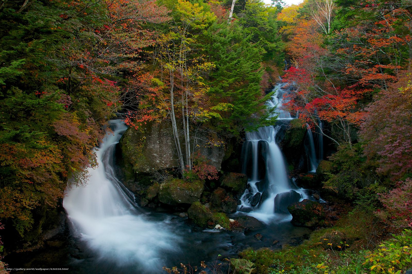 Download wallpaper Ryuzu Waterfall, Nikko, japan, autumn free