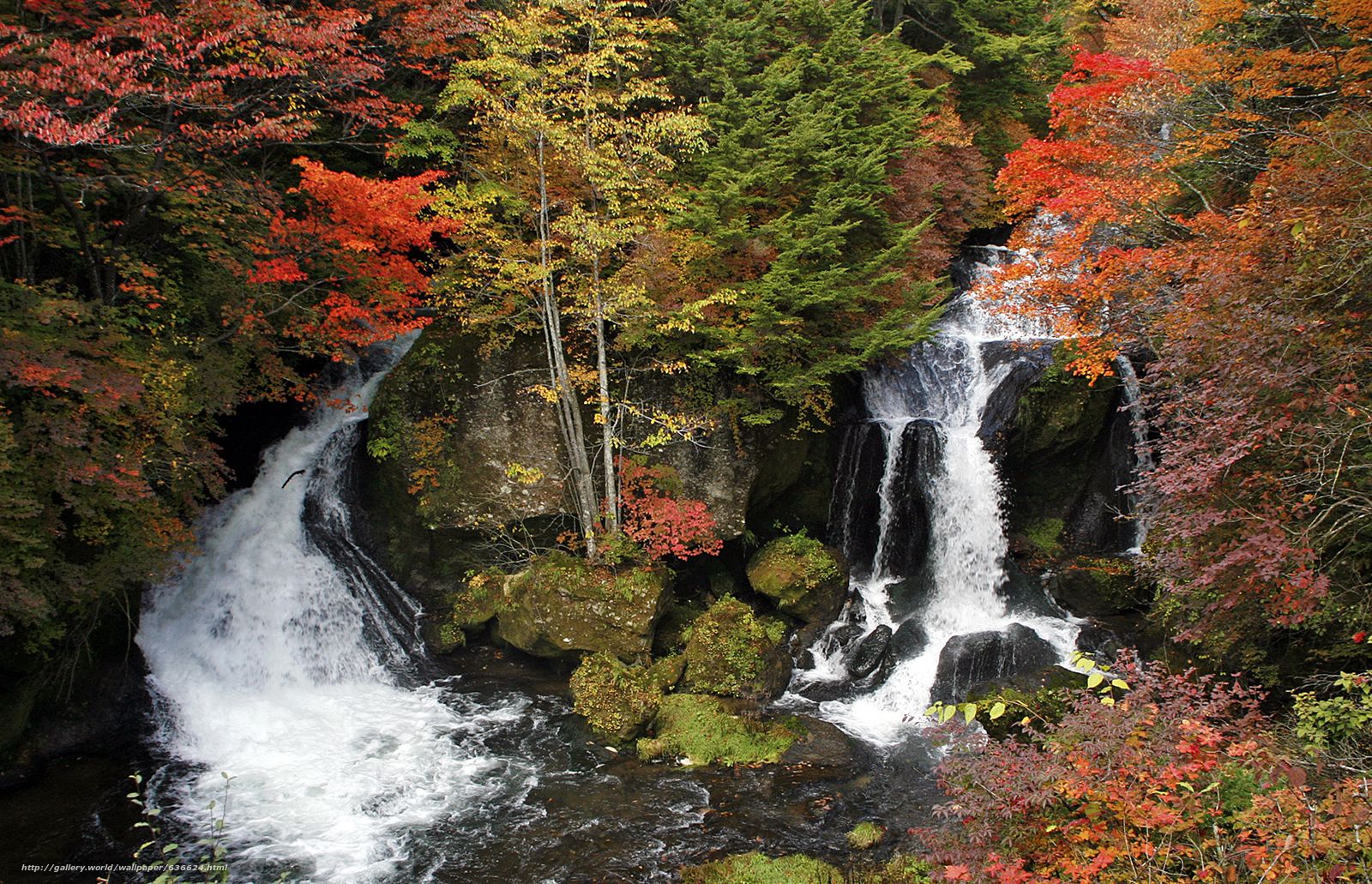 Download wallpaper Ryuzu Waterfall, Nikko, japan, autumn free