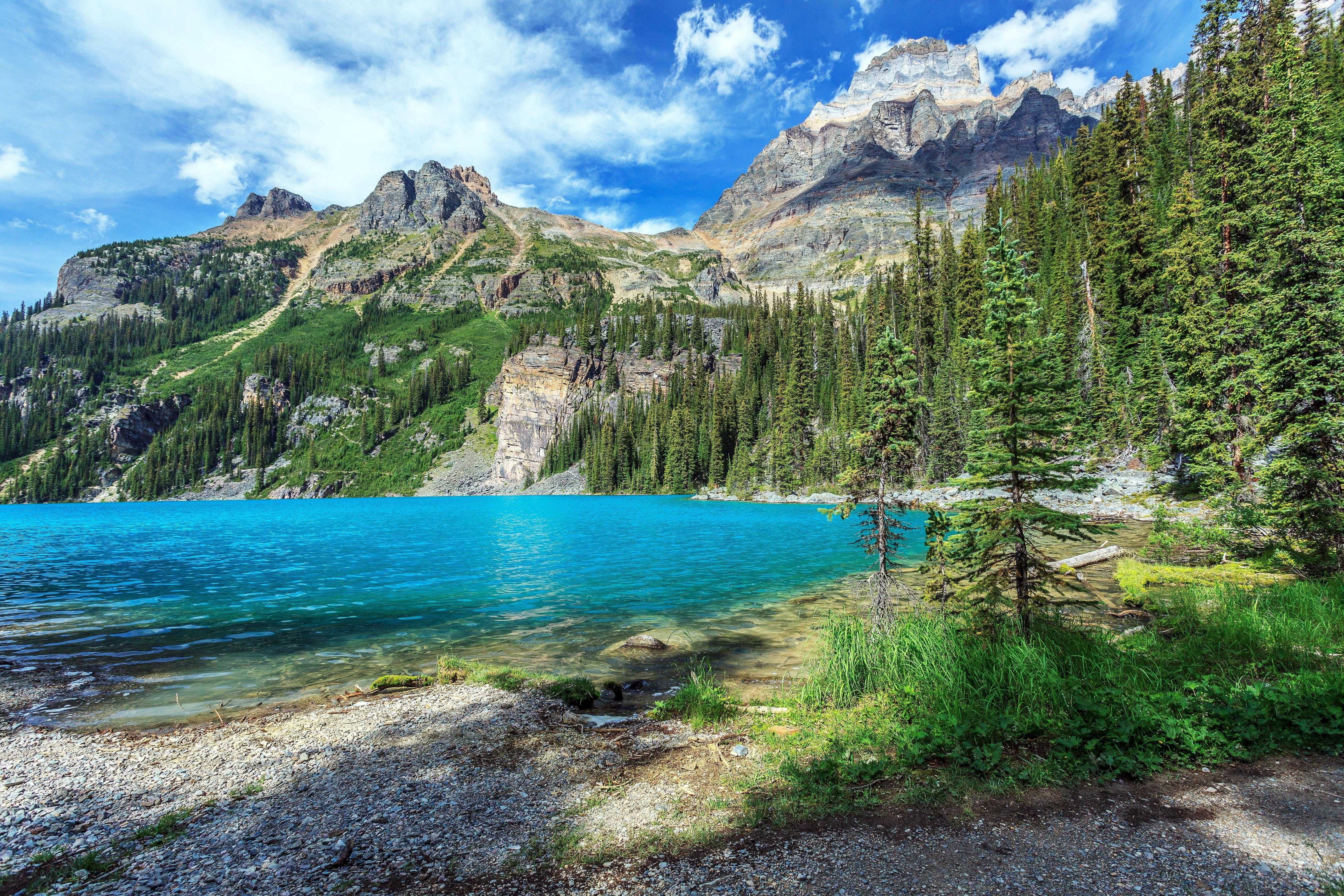 Yoho National Park British Columbia lake mountains trees wallpaper