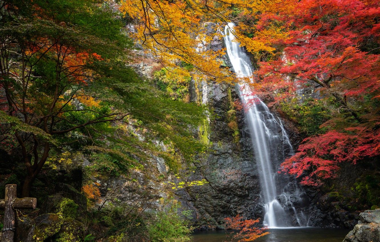 Wallpaper autumn, trees, rock, Park, waterfall, Japan, Japan