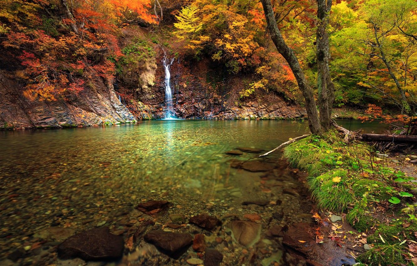 Wallpaper autumn, trees, landscape, nature, waterfall, Japan