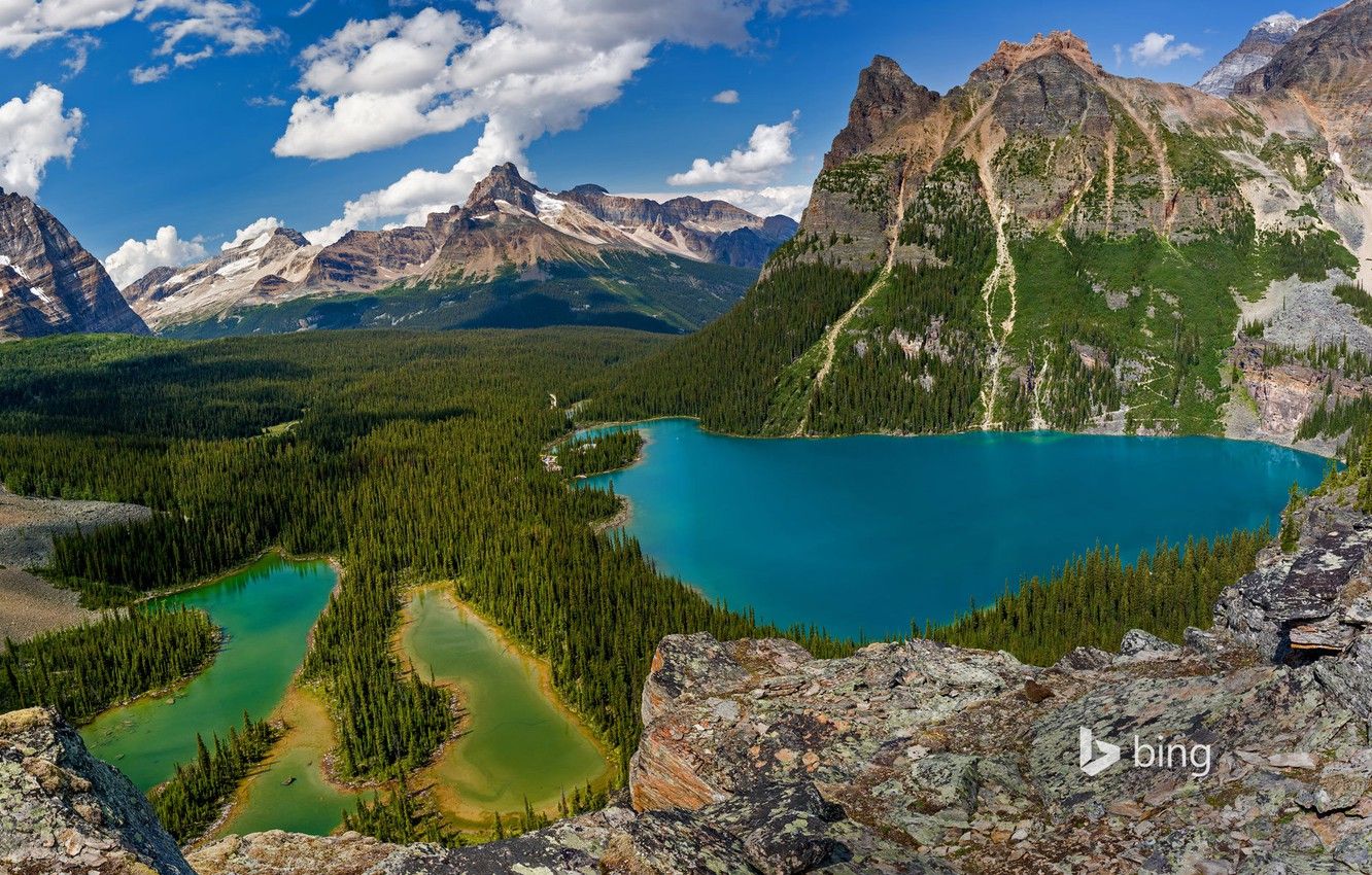 Wallpaper trees, mountains, nature, Canada, British Columbia, lake