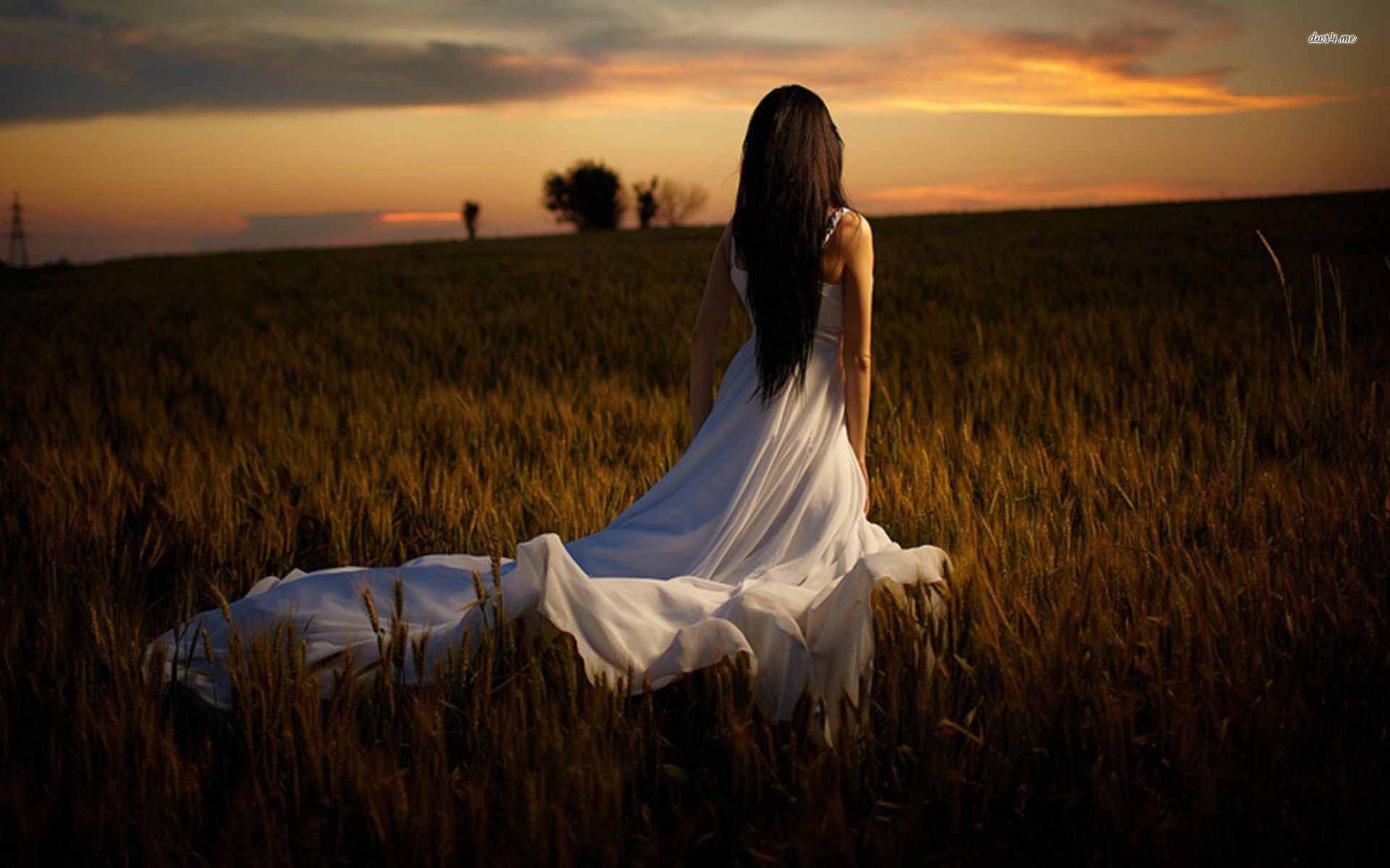 Free download dress in the barley field wallpaper Photography