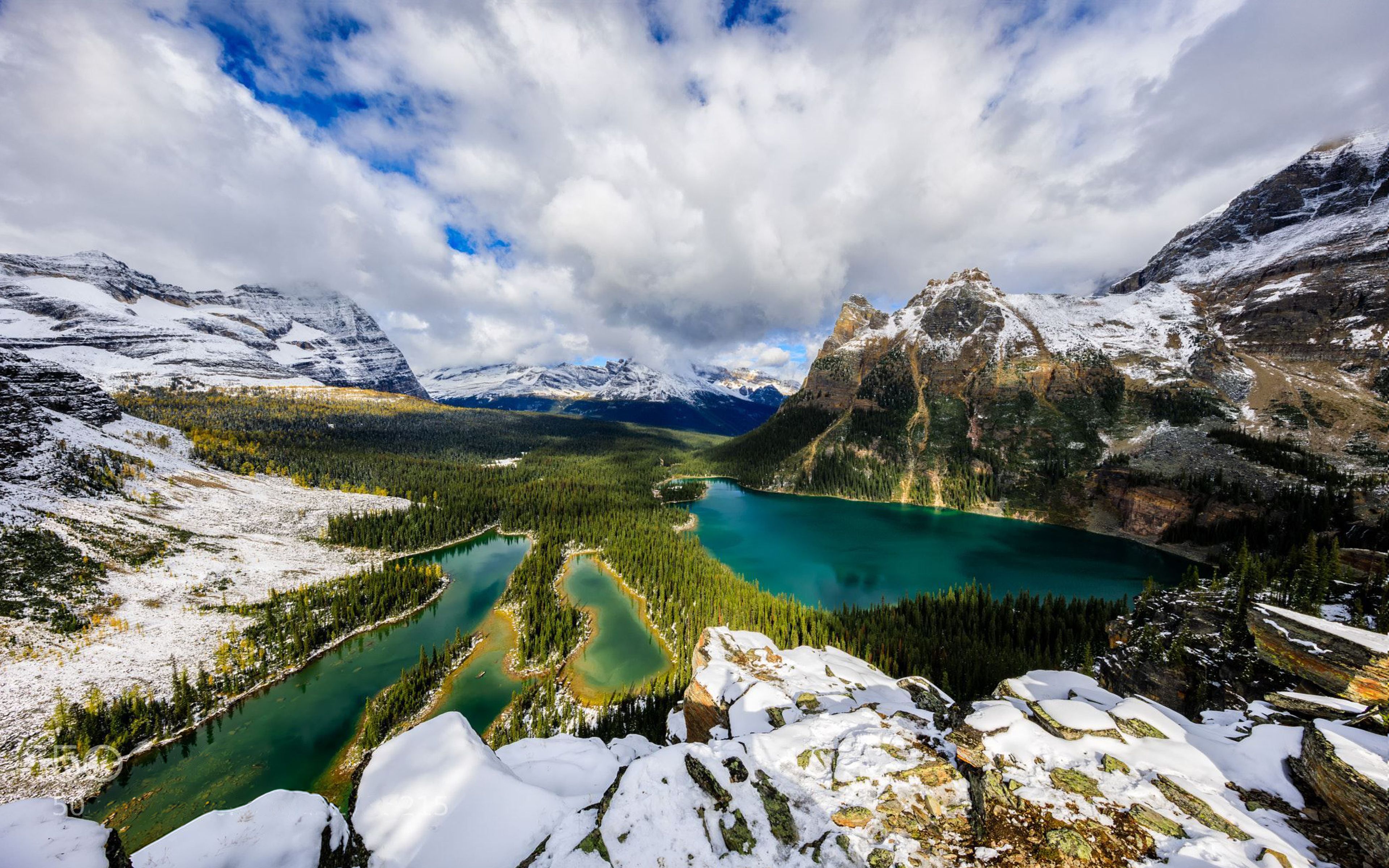 Lake O'hara In Yoho National Park British Columbia Canada Winter