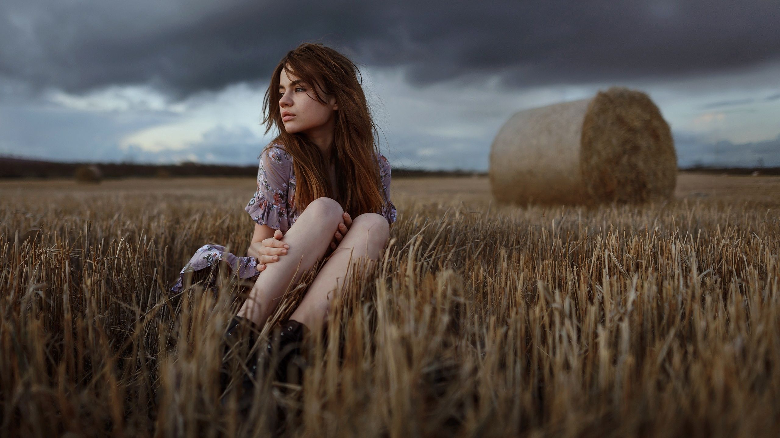 Girl Field Sitting 1440P Resolution HD 4k Wallpaper
