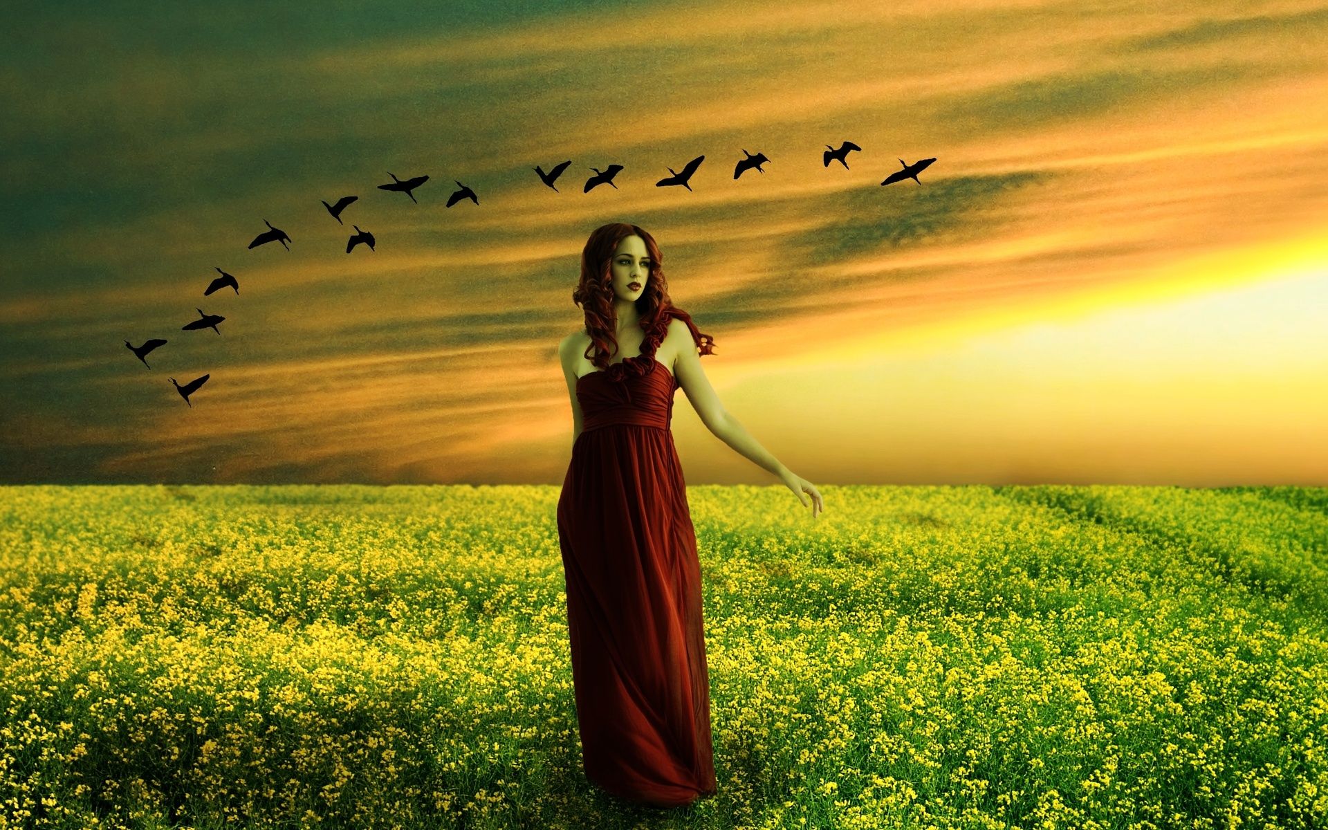 sunset, Field, Girl, Birds, Flower, Flowers, Mood, Gothic