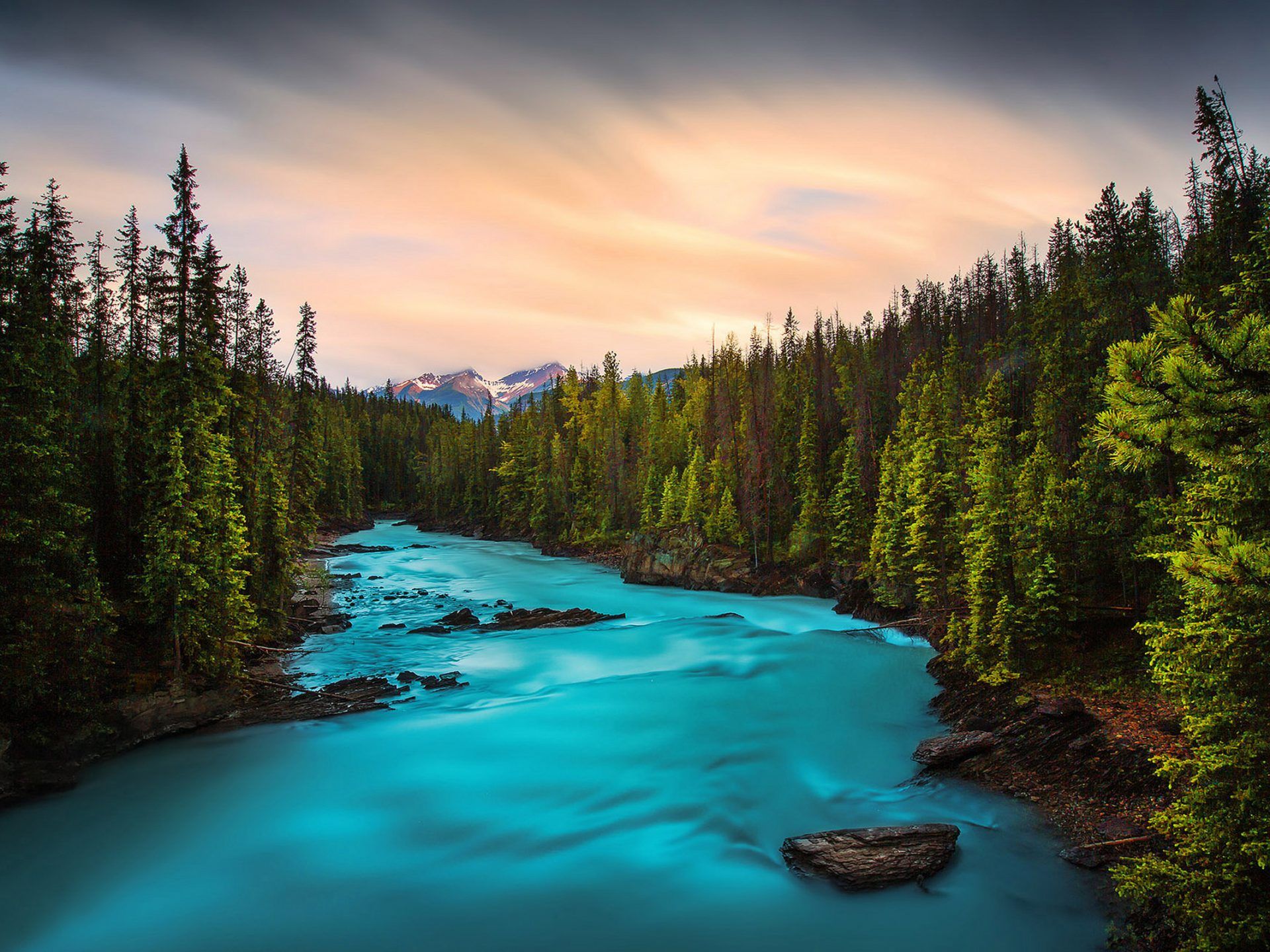 Beautiful Mountain Stream Waterfall Rocks And Green Pine Forest