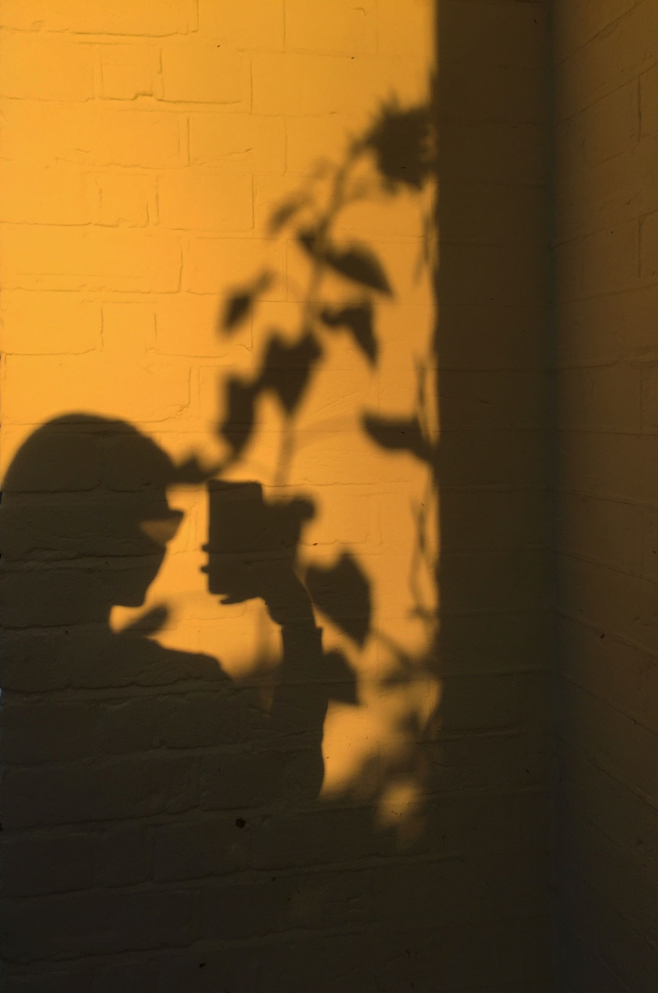 Phone wallpaper. Shadow photography, Shadow