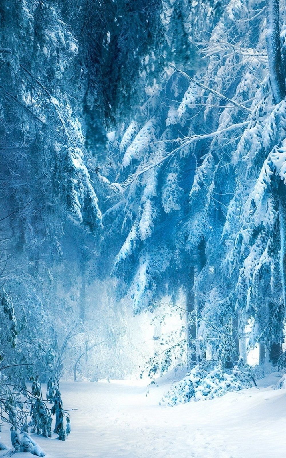 Under Heavy Snow Mobile Wallpaper