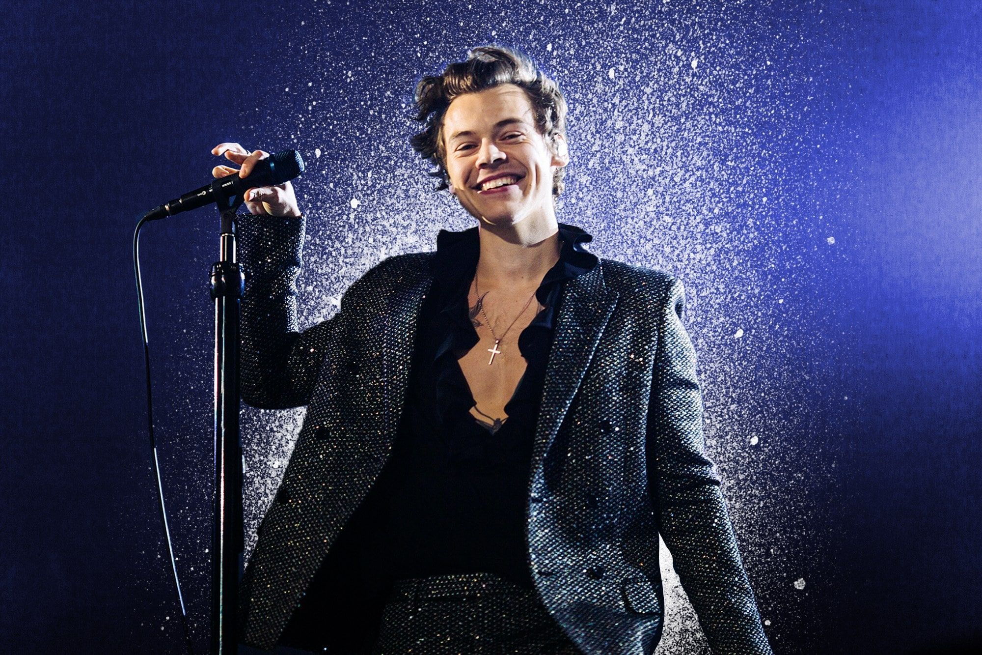 Harry Styles. Harry styles concert, Harry styles shirtless, Harry
