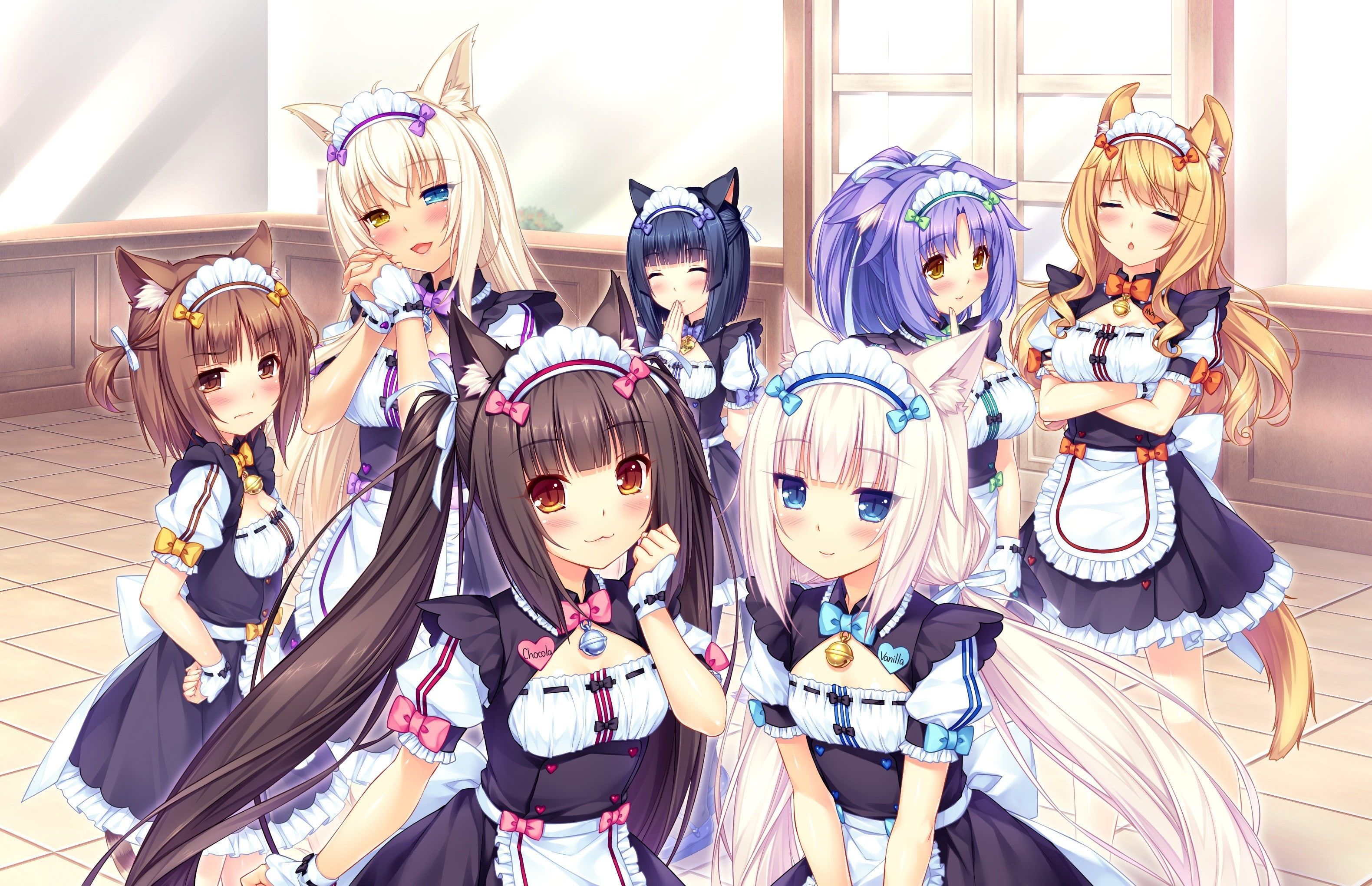 Nekopara Coconut Anime Cute Wallpapers - Wallpaper Cave