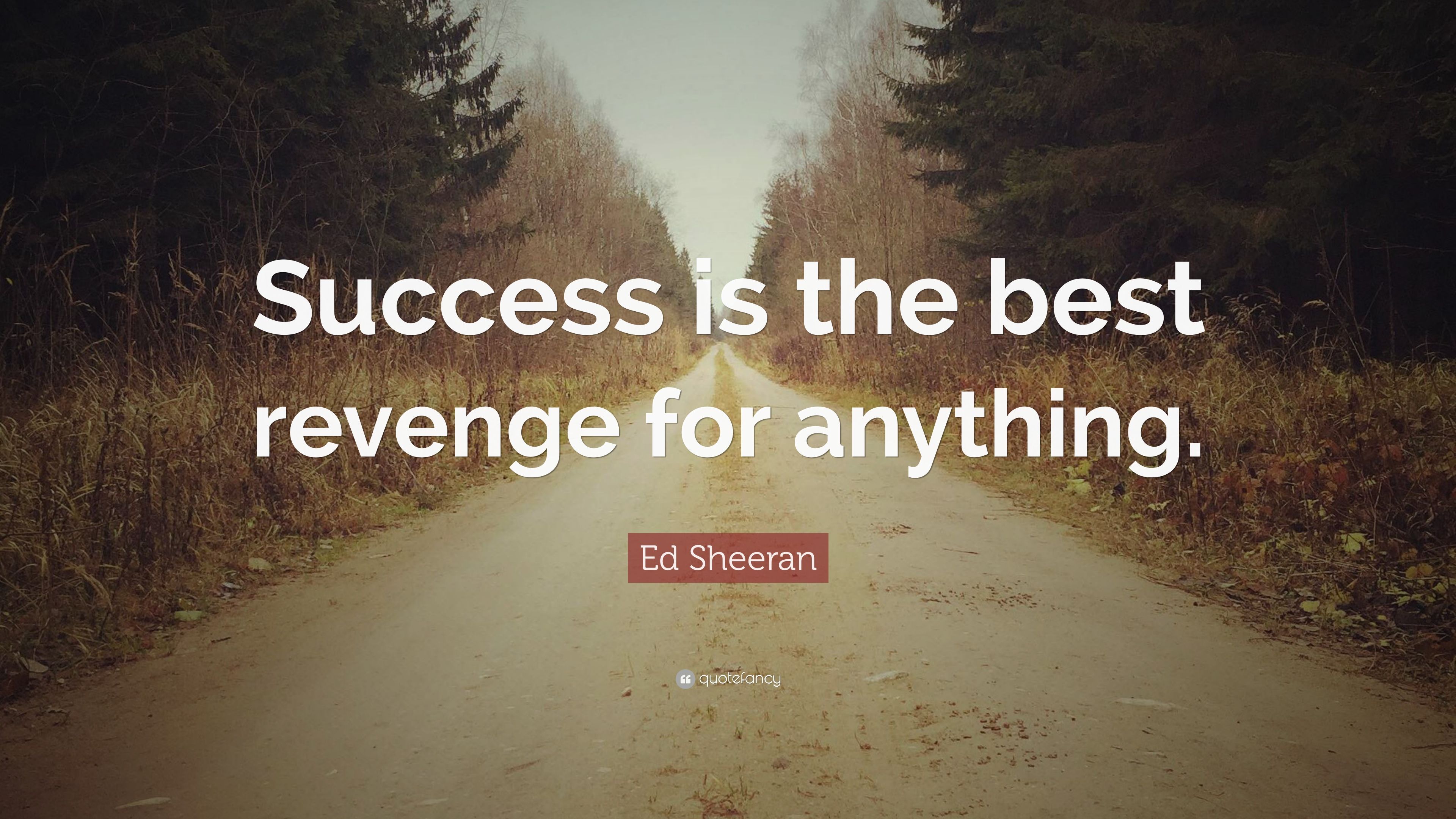 Ed Sheeran Quote: “Success is the best revenge for anything.” 12