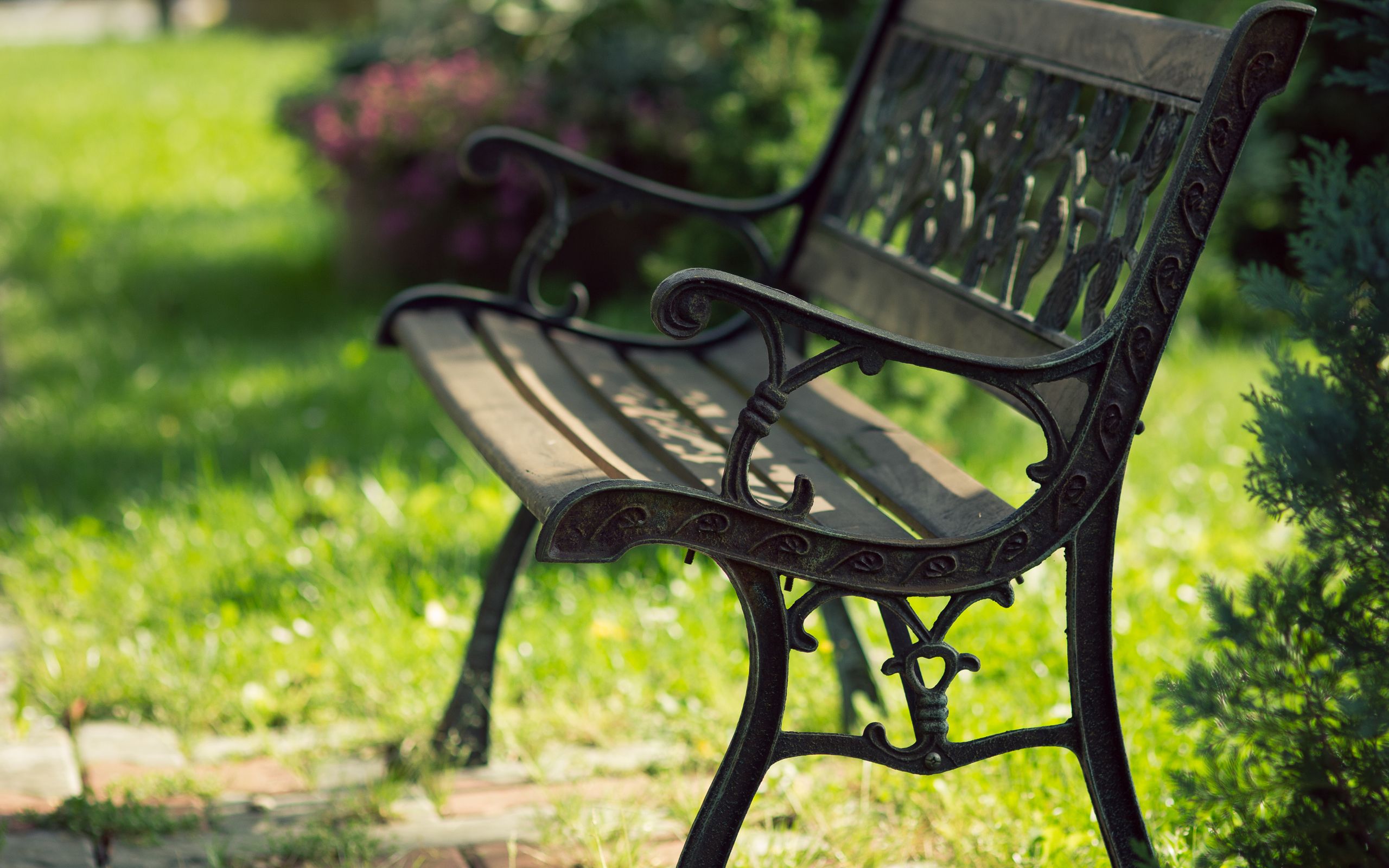 Wallpaper Beautiful: Bench in Park