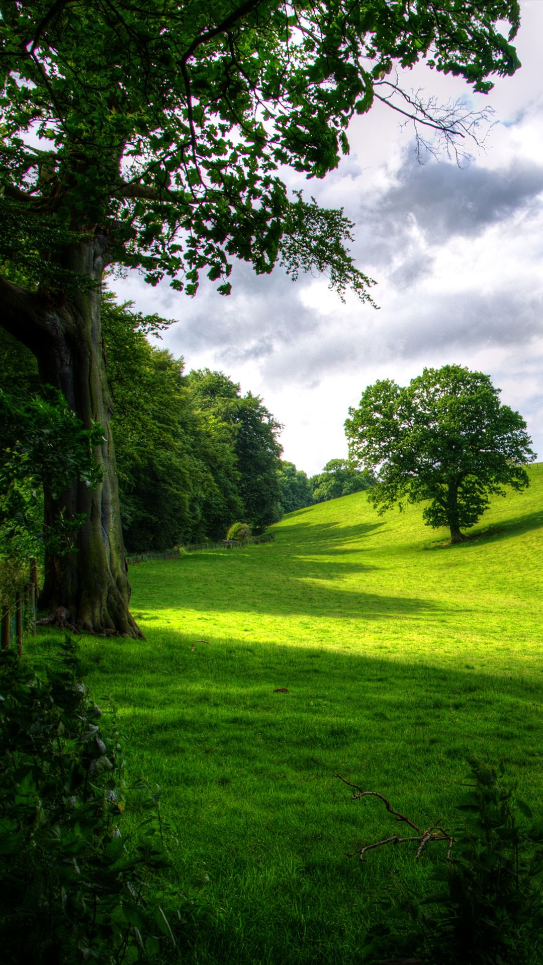 Green Park Phone Wallpaper Domain Free Landscape, Download Wallpaper