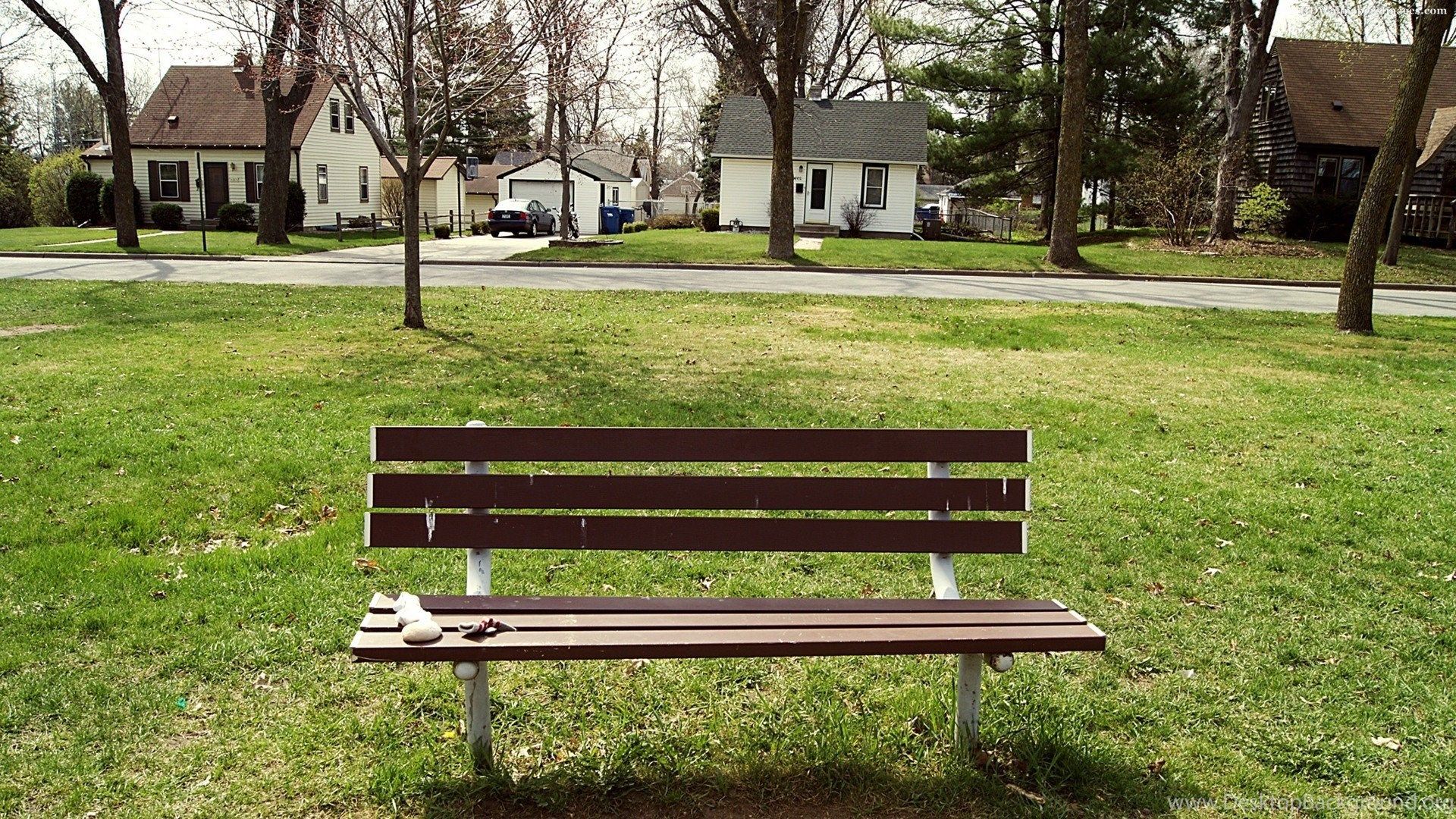 Beautiful Green Park Bench Wallpaper_other_health Questions. Desktop Background