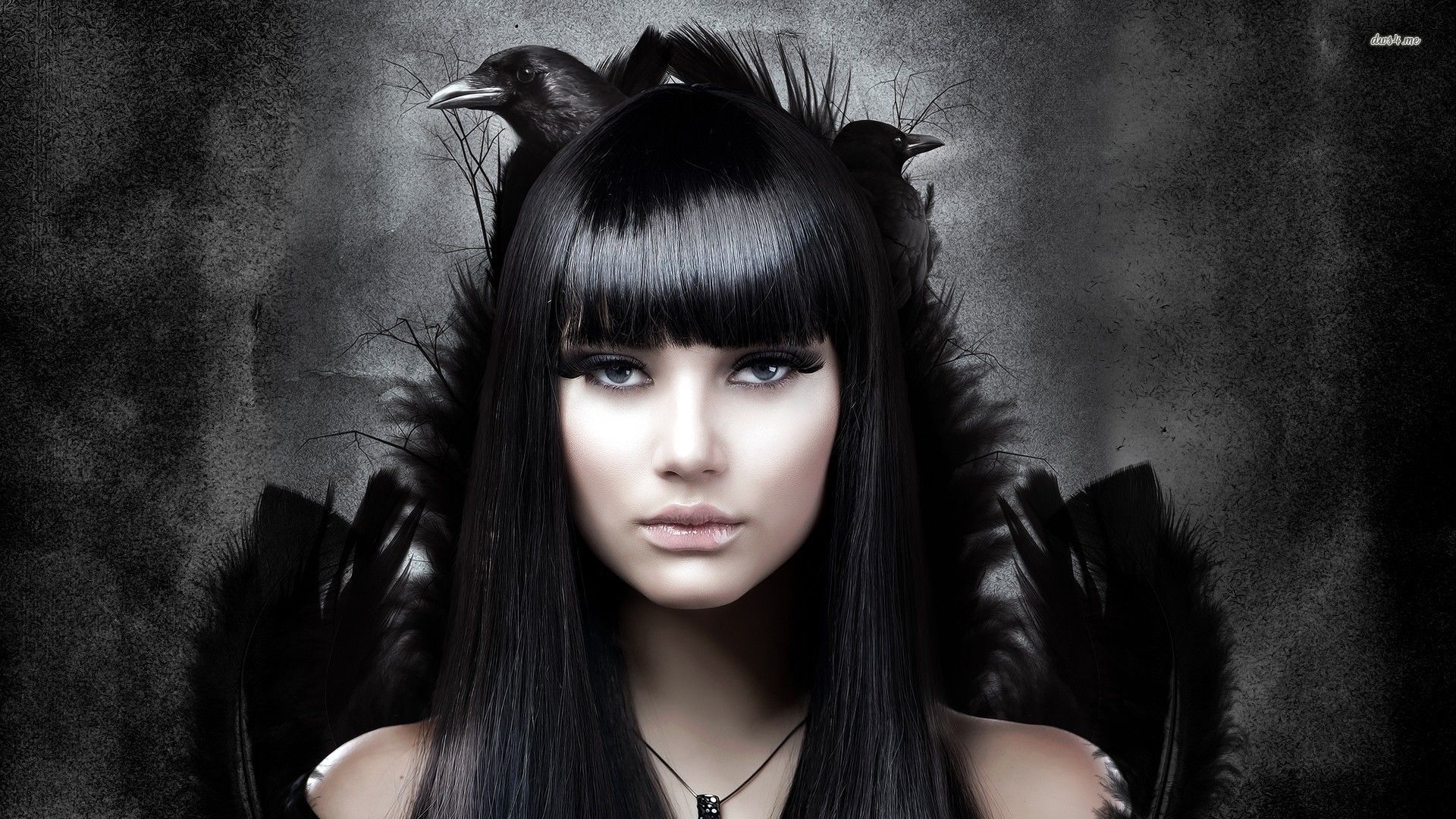 Goth girl with her raven HD wallpaper. Gothic hairstyles, Gothic