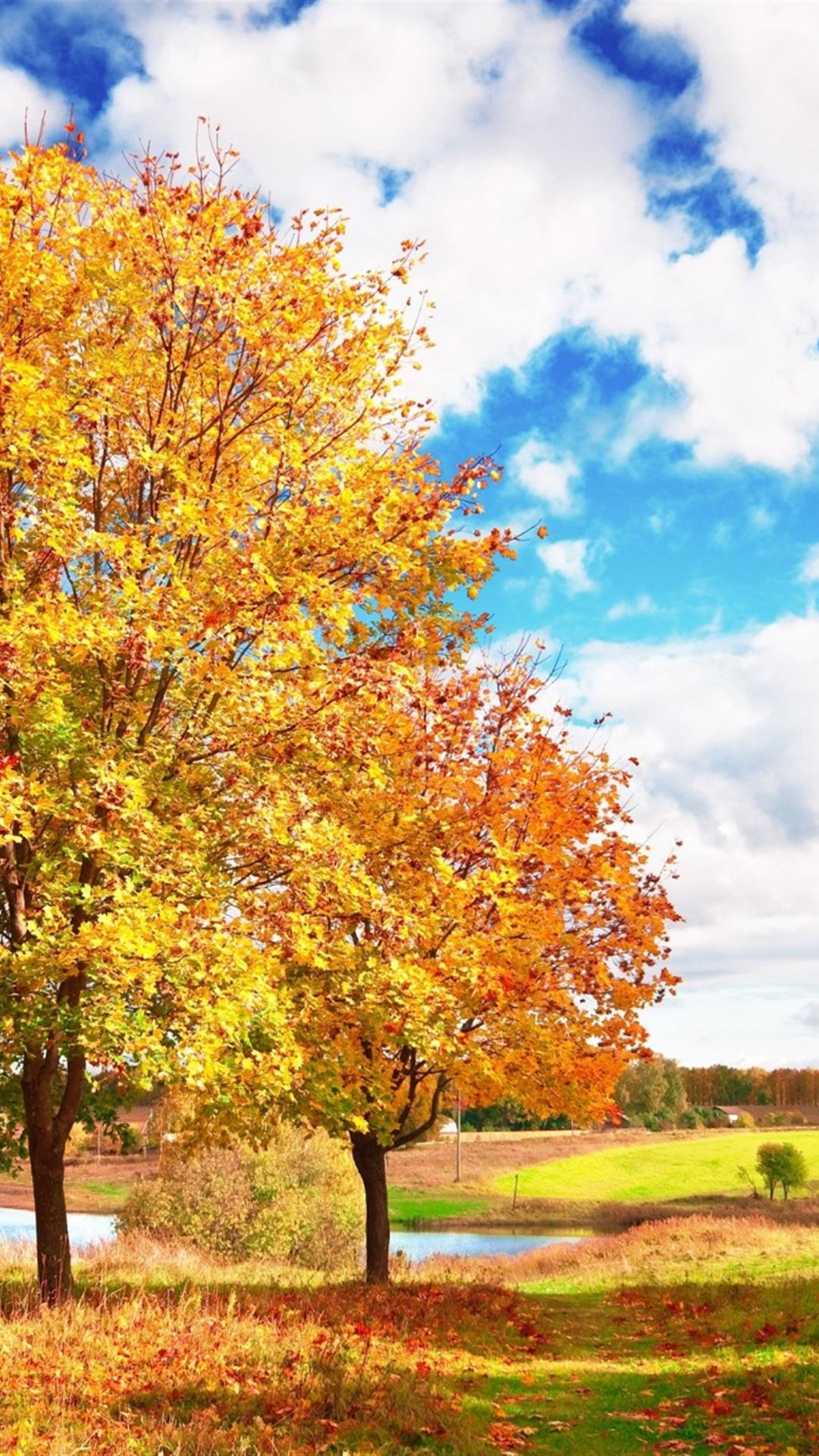 Autumn iPhone 6 Plus Wallpaper Free Autumn iPhone 6 Plus
