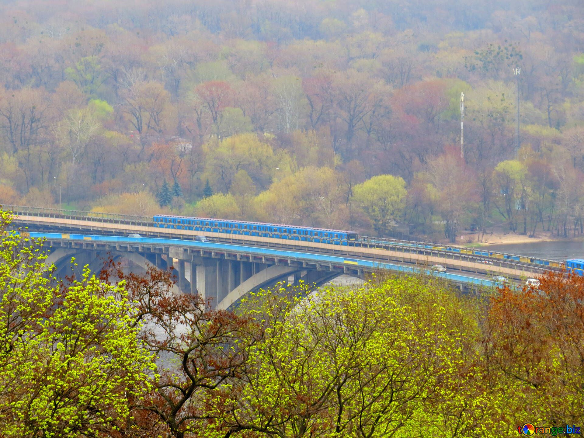 Railway bridges bridge train a road in autumn many colored leave