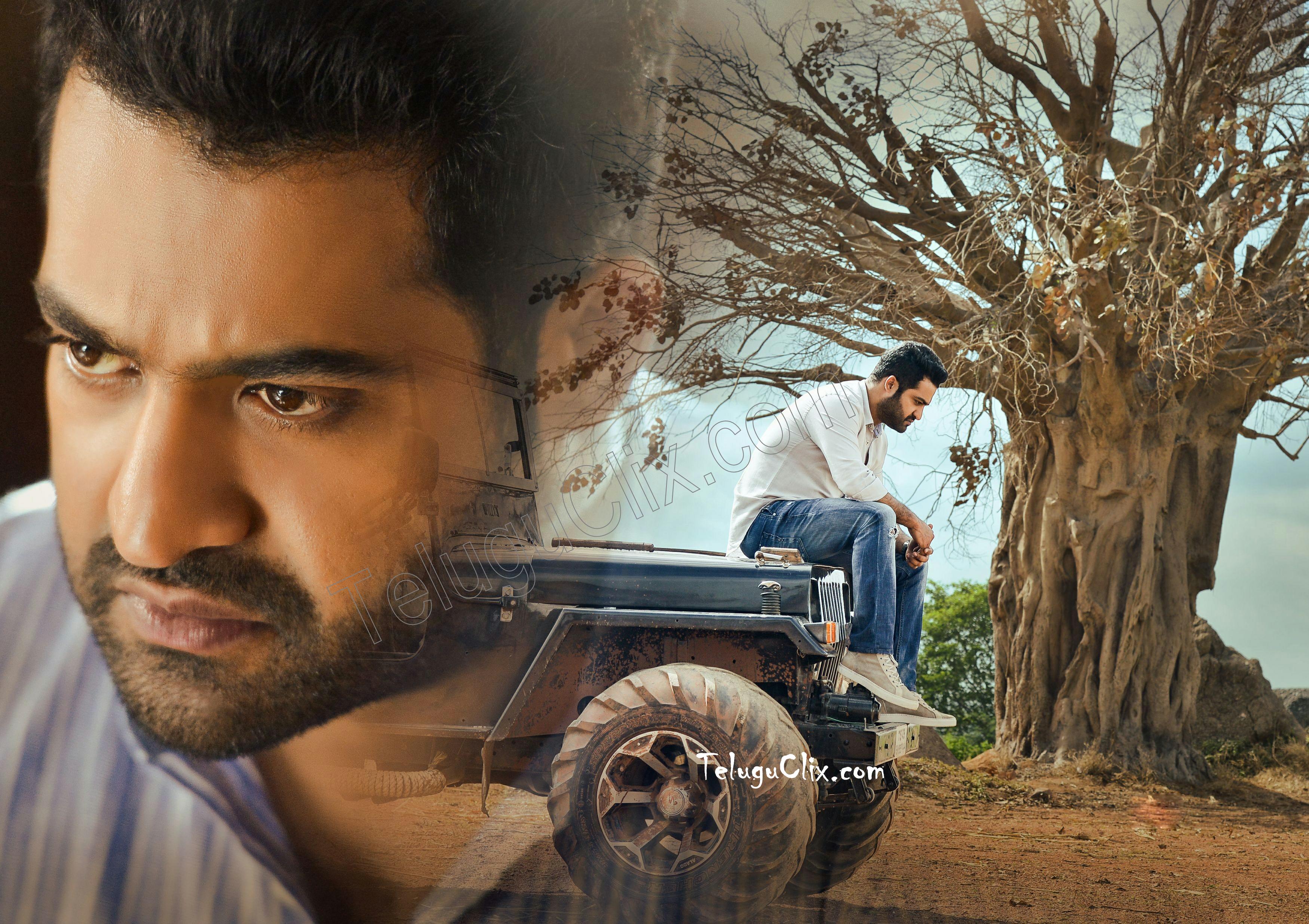 JR NTR Latest New Recent HD HQ Photo Pics image Stills Wallpaper
