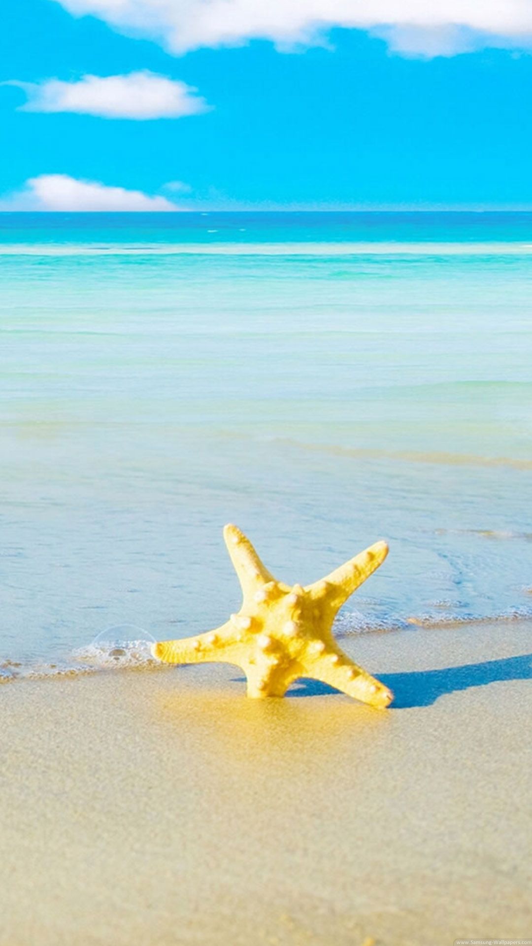 Starfish Beach iPhone 6 Plus HD Wallpaper HD Download