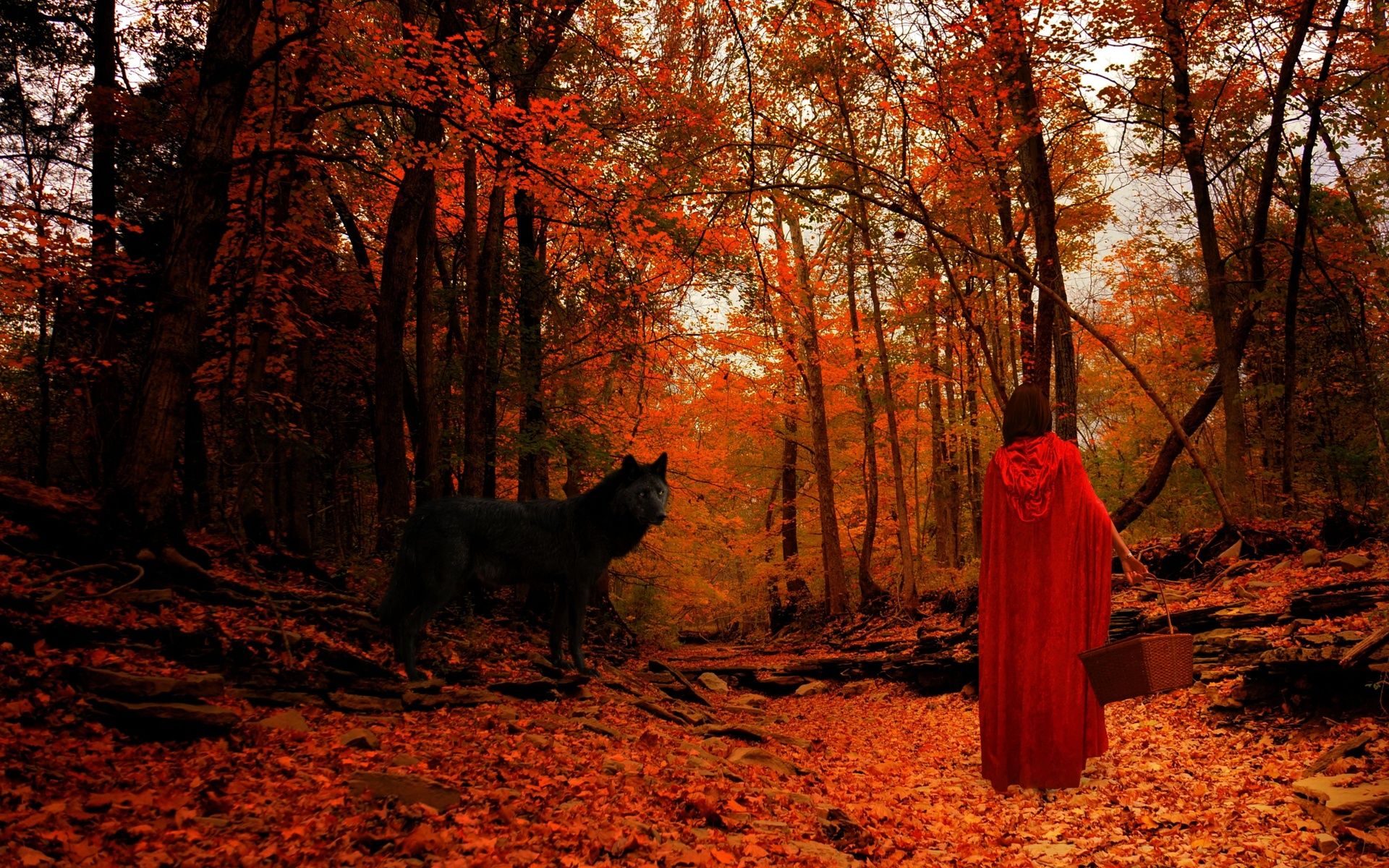 Red riding hood wolf wolves trees forest mood autumn girl girls women wallpaperx1200